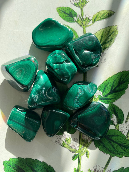 Malachite Tumbled Stone - Moon Room Shop and Wellness