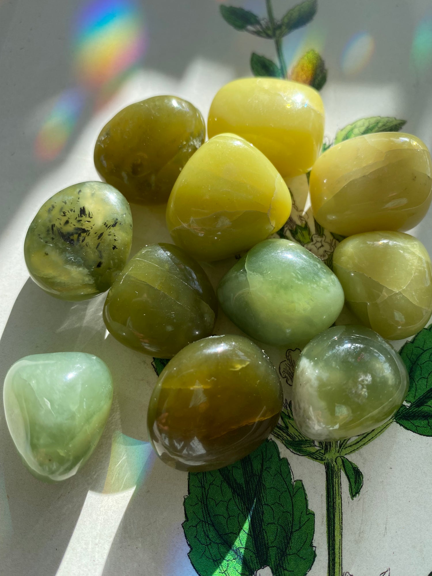 Nephrite Jade Tumbled - Moon Room Shop and Wellness