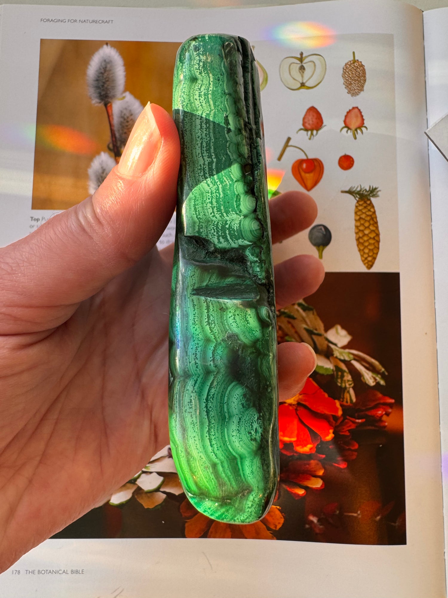 Malachite Freeform Congo 1.10 lb Polished Beauty! - Moon Room Shop and Wellness