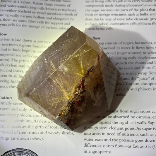 Garden Quartz With Gold Rutile Freeform 241 g - Moon Room Shop and Wellness