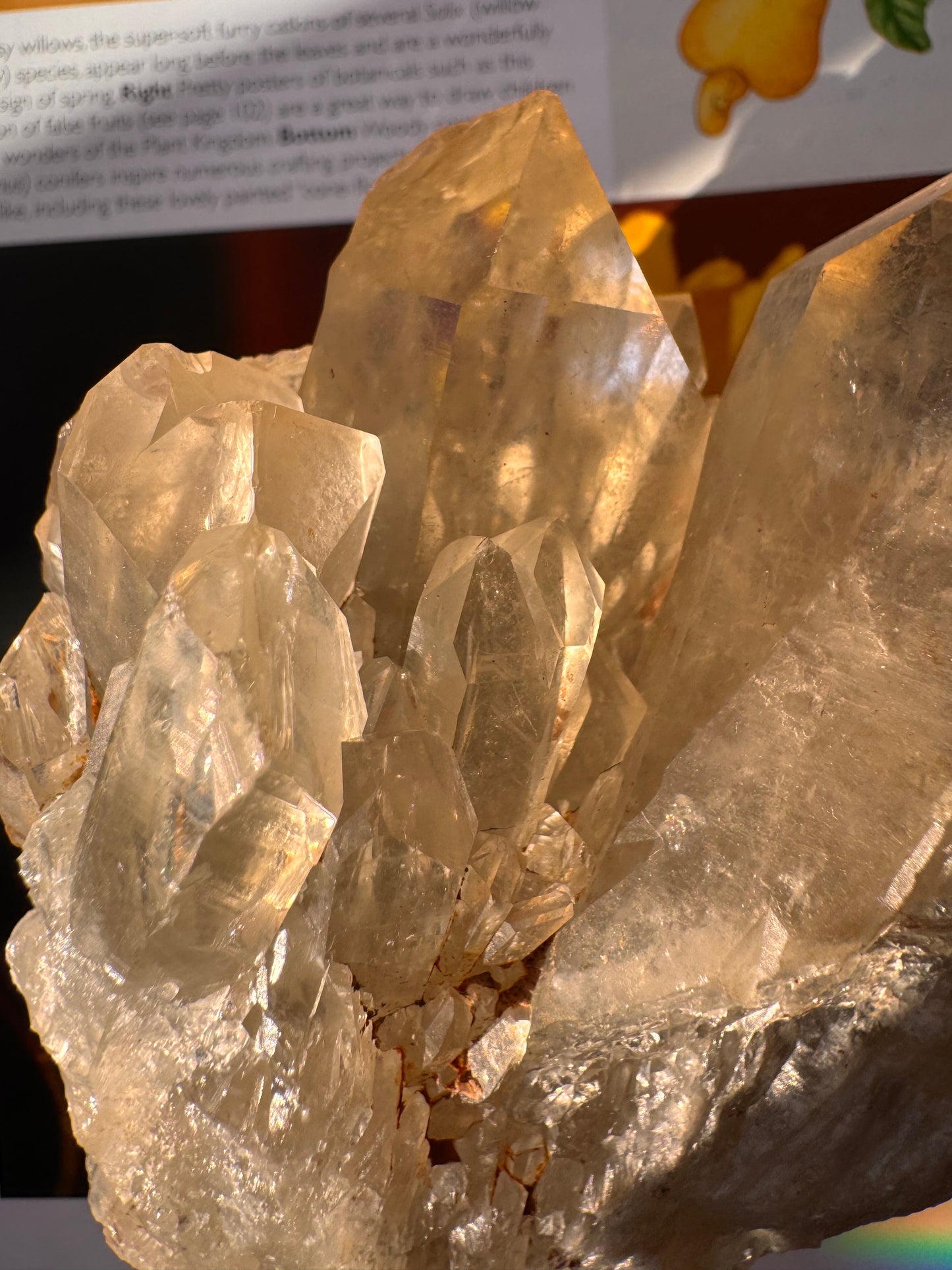 Citrine Natural Specimens- 1.04 lb- Congo - Moon Room Shop and Wellness