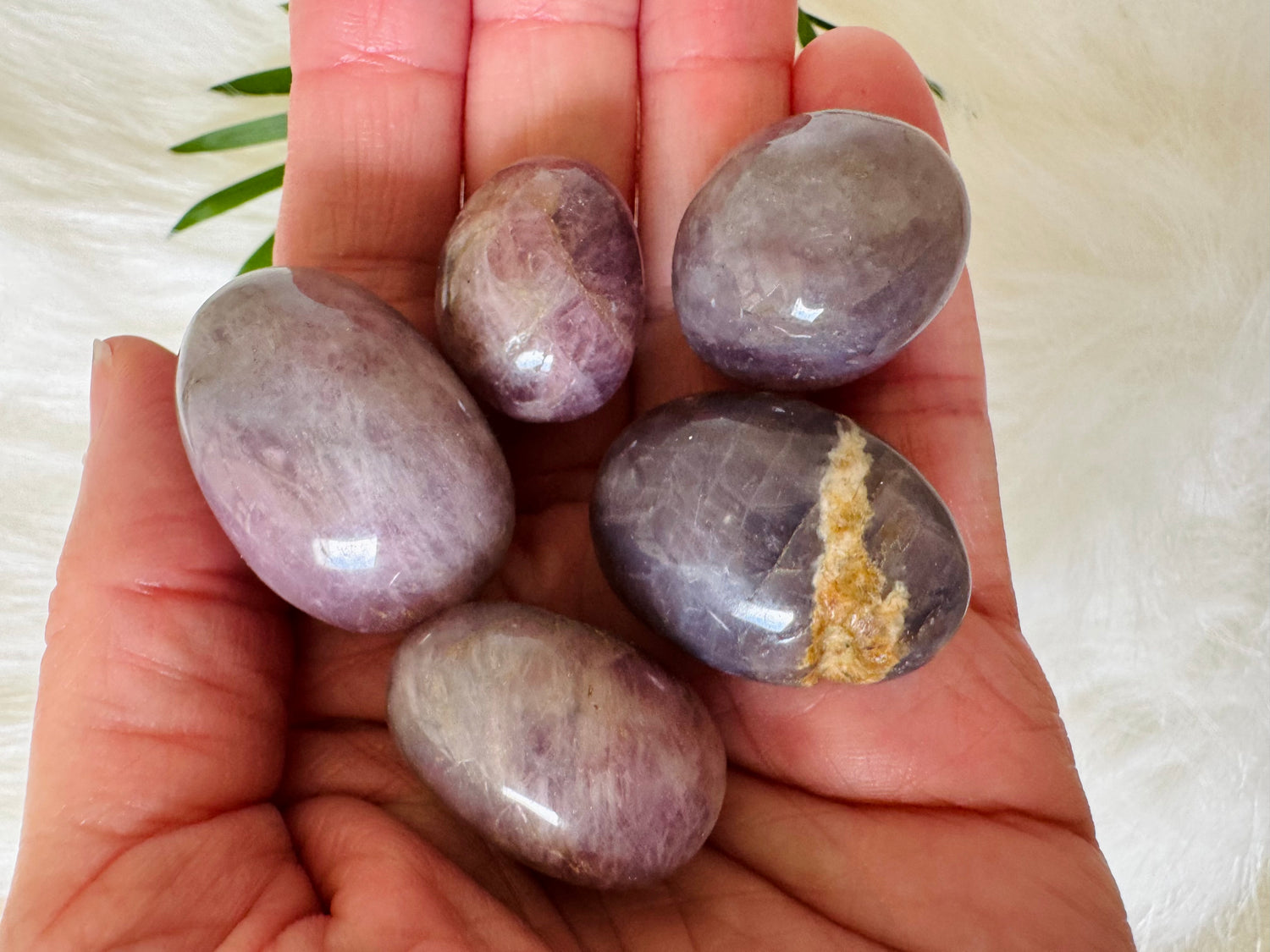 Purple Rose Quartz Tumbled - Moon Room Shop and Wellness