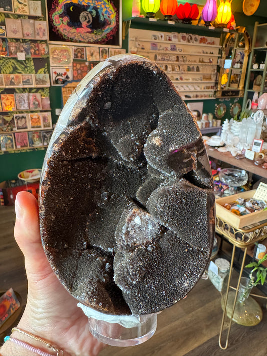 Septarian Dragon Egg -3.88 lb - Moon Room Shop and Wellness