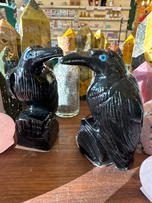 Onyx Raven 3" - Moon Room Shop and Wellness