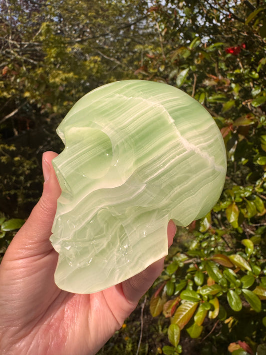 Green Onyx/Calcite Skull 1.76 lb Mexico - Moon Room Shop and Wellness
