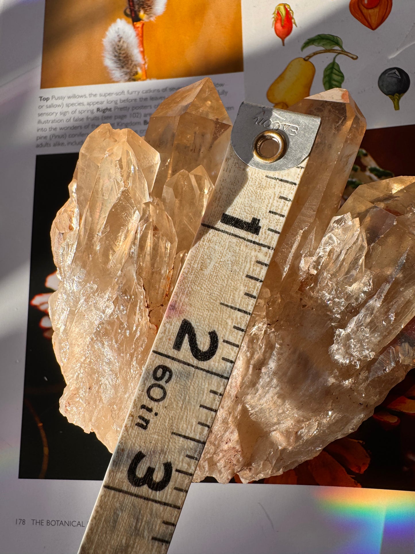 Citrine Natural Specimens- 1.04 lb- Congo - Moon Room Shop and Wellness