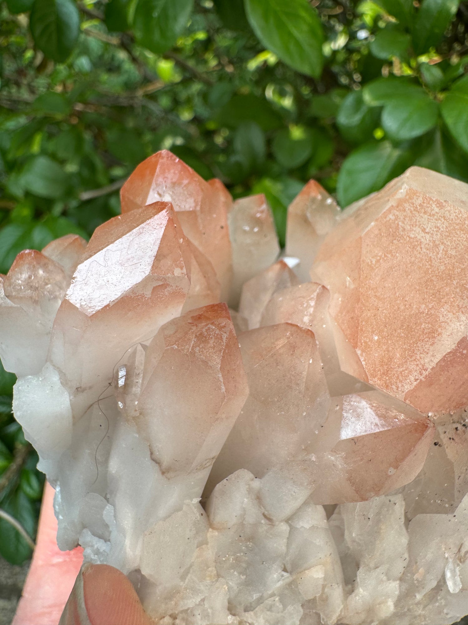 Pink Lithium Quartz Cluster 456 g - Brazil- Peaceful Beauty! - Moon Room Shop and Wellness