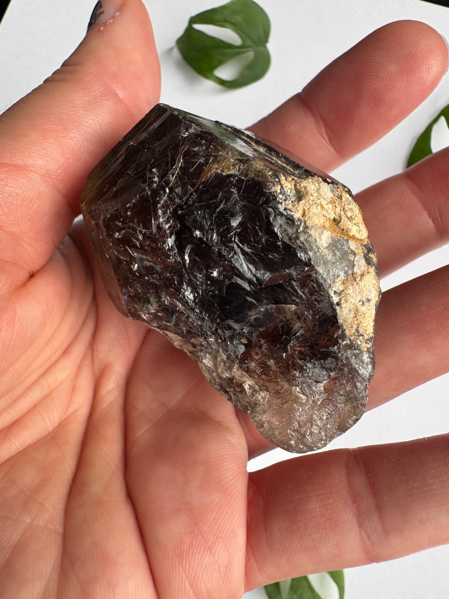 Smoky Quartz Rutilated Beauty 84 g. Brazil - Moon Room Shop and Wellness