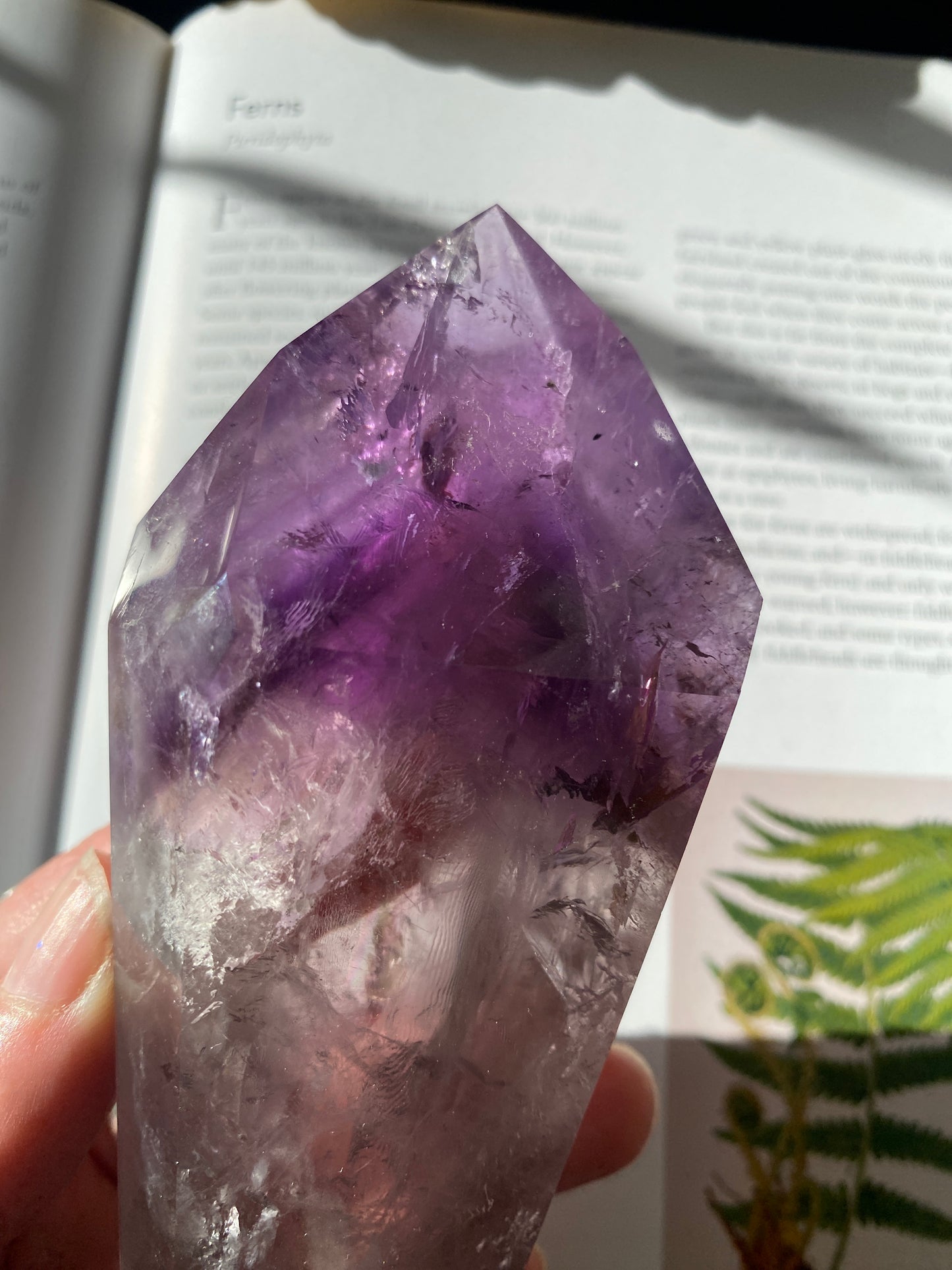 Amethyst Spear Point 358 g - Moon Room Shop and Wellness