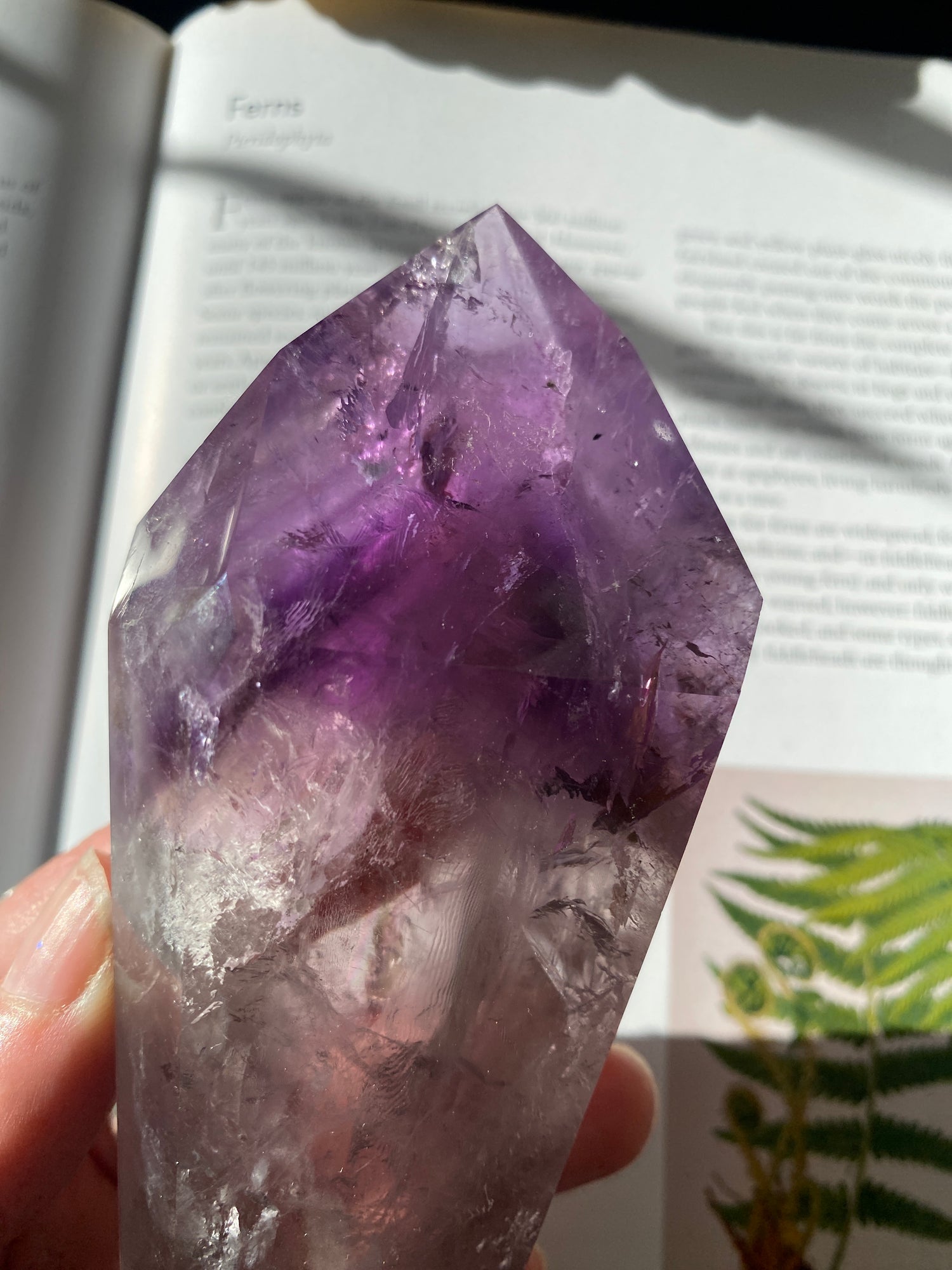 Amethyst Spear Point 358 g - Moon Room Shop and Wellness