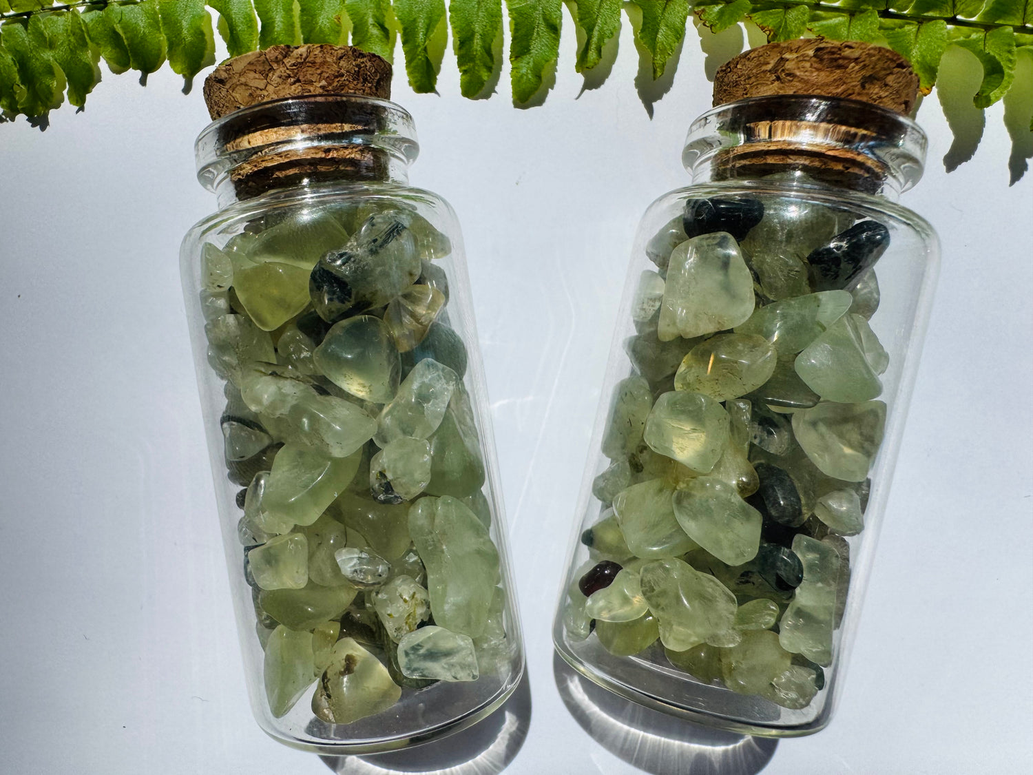 Prehnite Gem Chip 25 ml Glass Jar - Moon Room Shop and Wellness