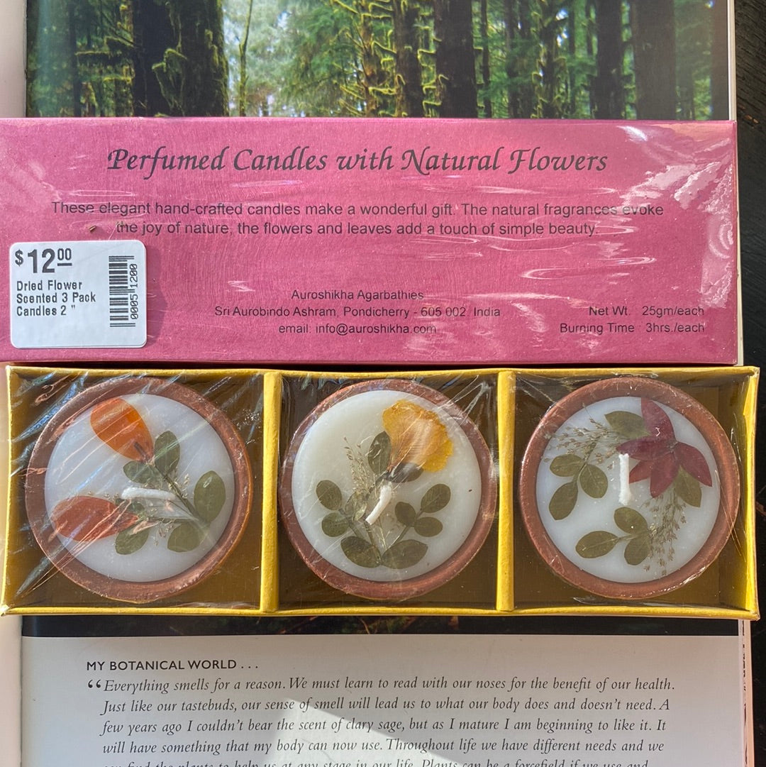 Dried Flower Scented 3 Pack Candles 2 " - Moon Room Shop and Wellness