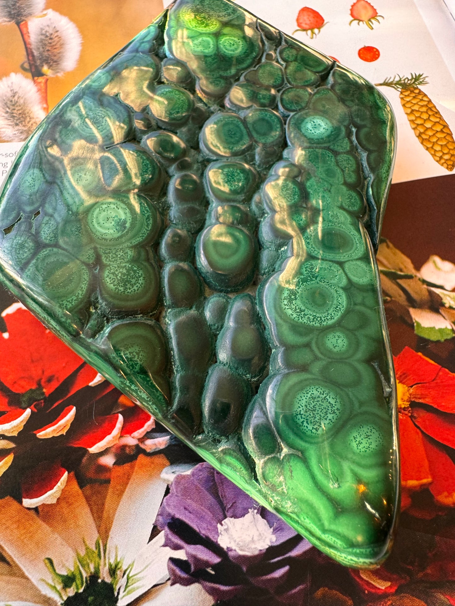 Malachite Freeform Congo 1.10 lb Polished Beauty! - Moon Room Shop and Wellness