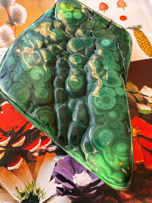 Malachite Freeform Congo 1.10 lb Polished Beauty! - Moon Room Shop and Wellness