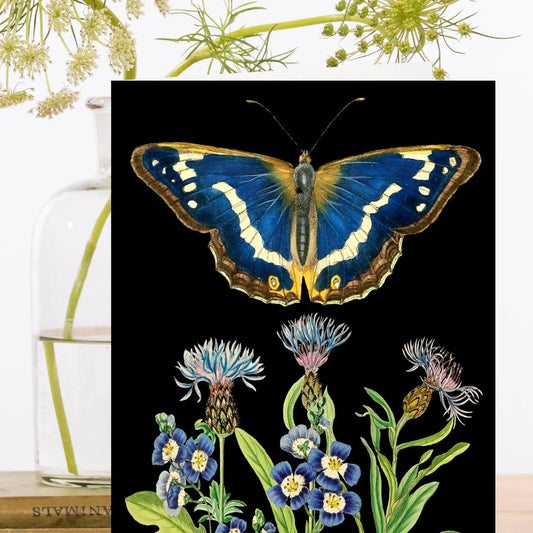 Night Butterfly Botanical Greeting Card - Blank - Moon Room Shop and Wellness