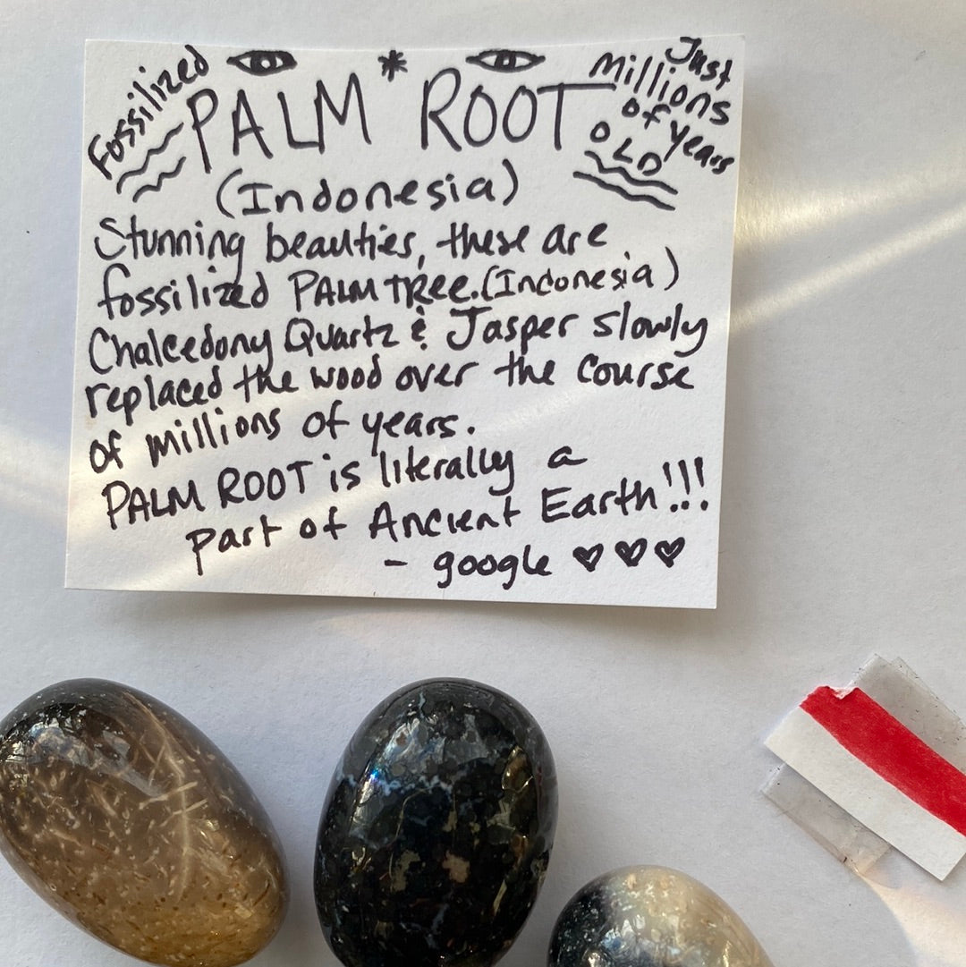 Palm Root Tumbled - Moon Room Shop and Wellness