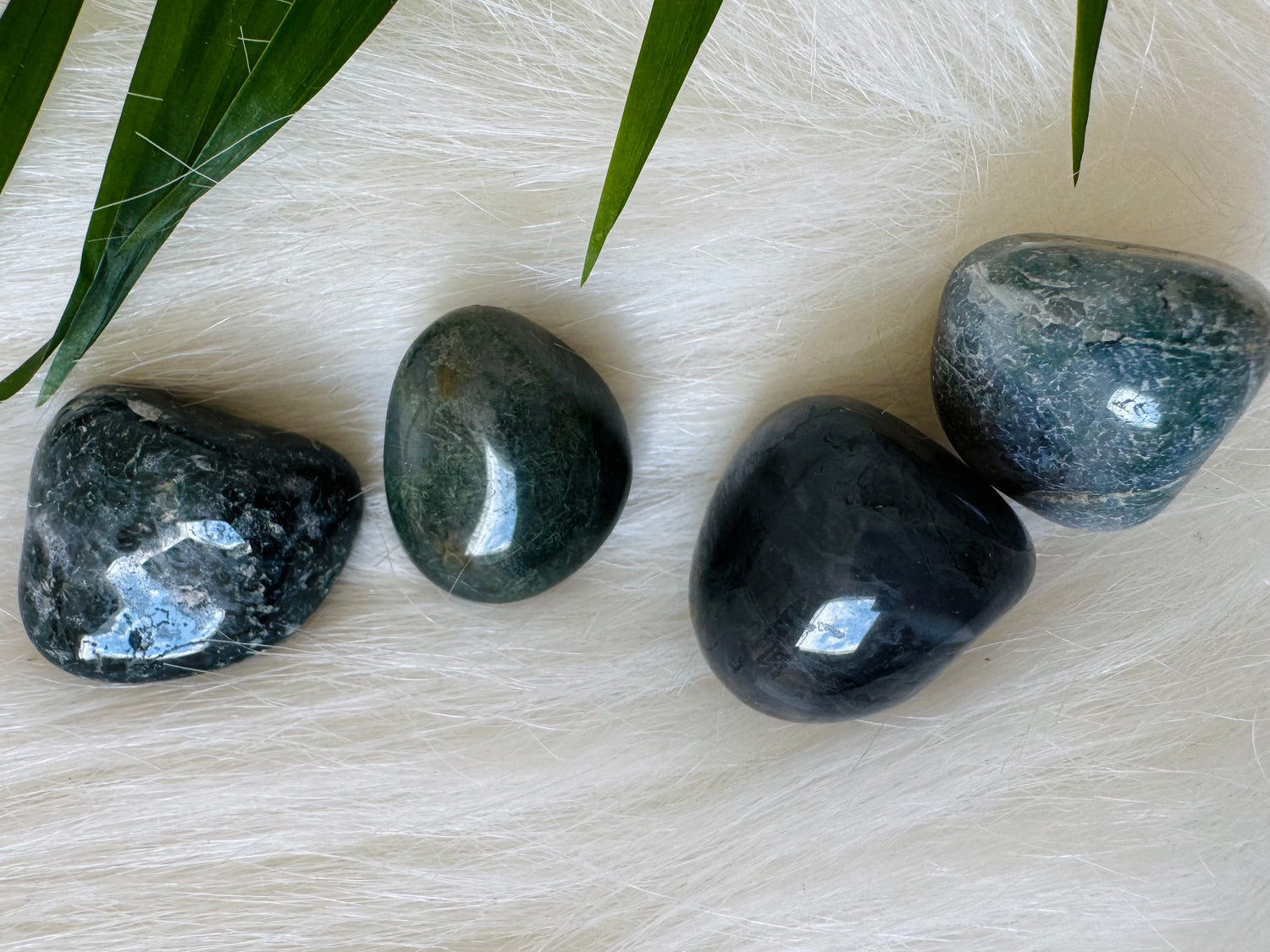 Moss Agate Tumbled - Moon Room Shop and Wellness