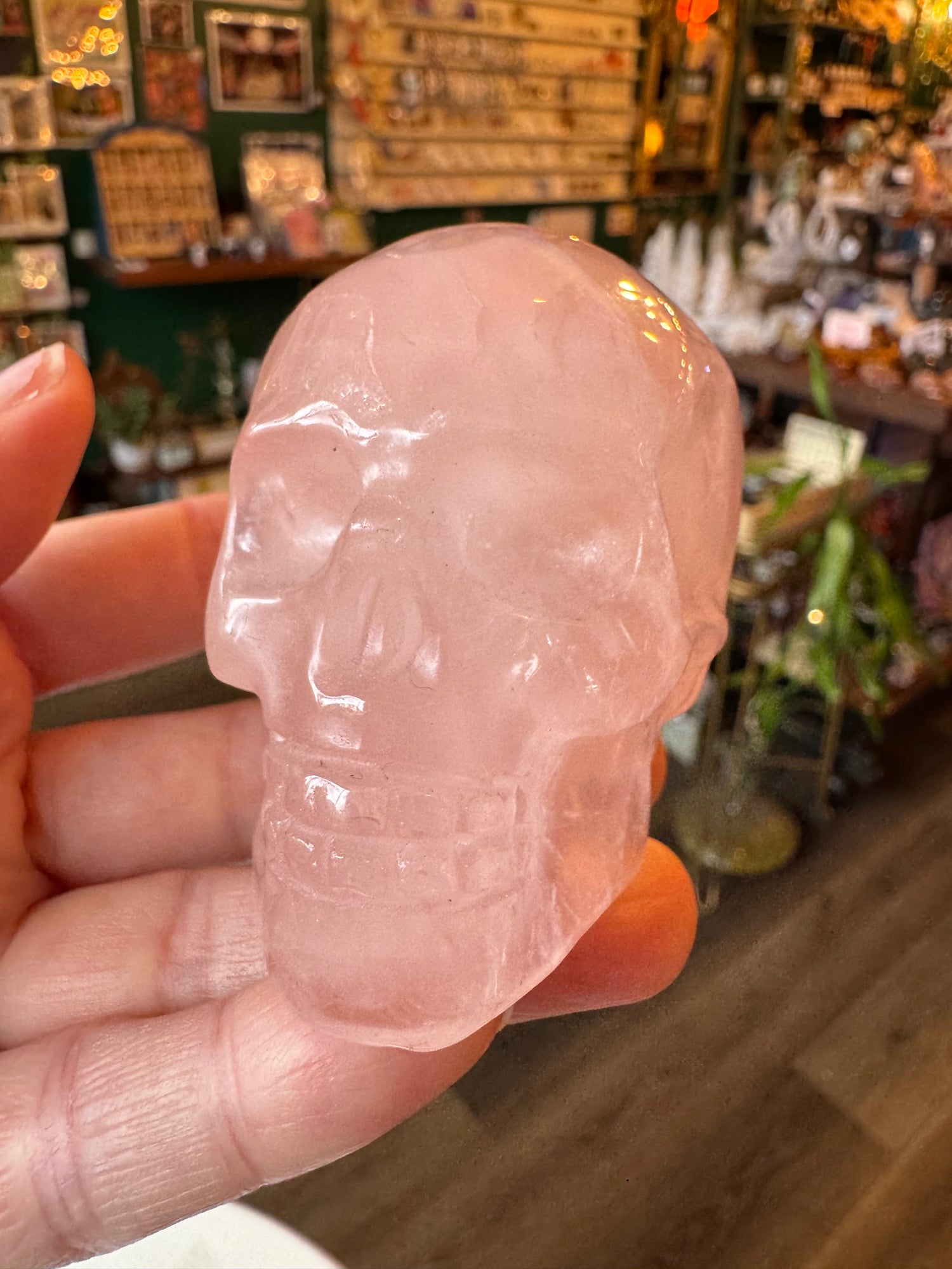 Rose Quartz Skull - Moon Room Shop and Wellness