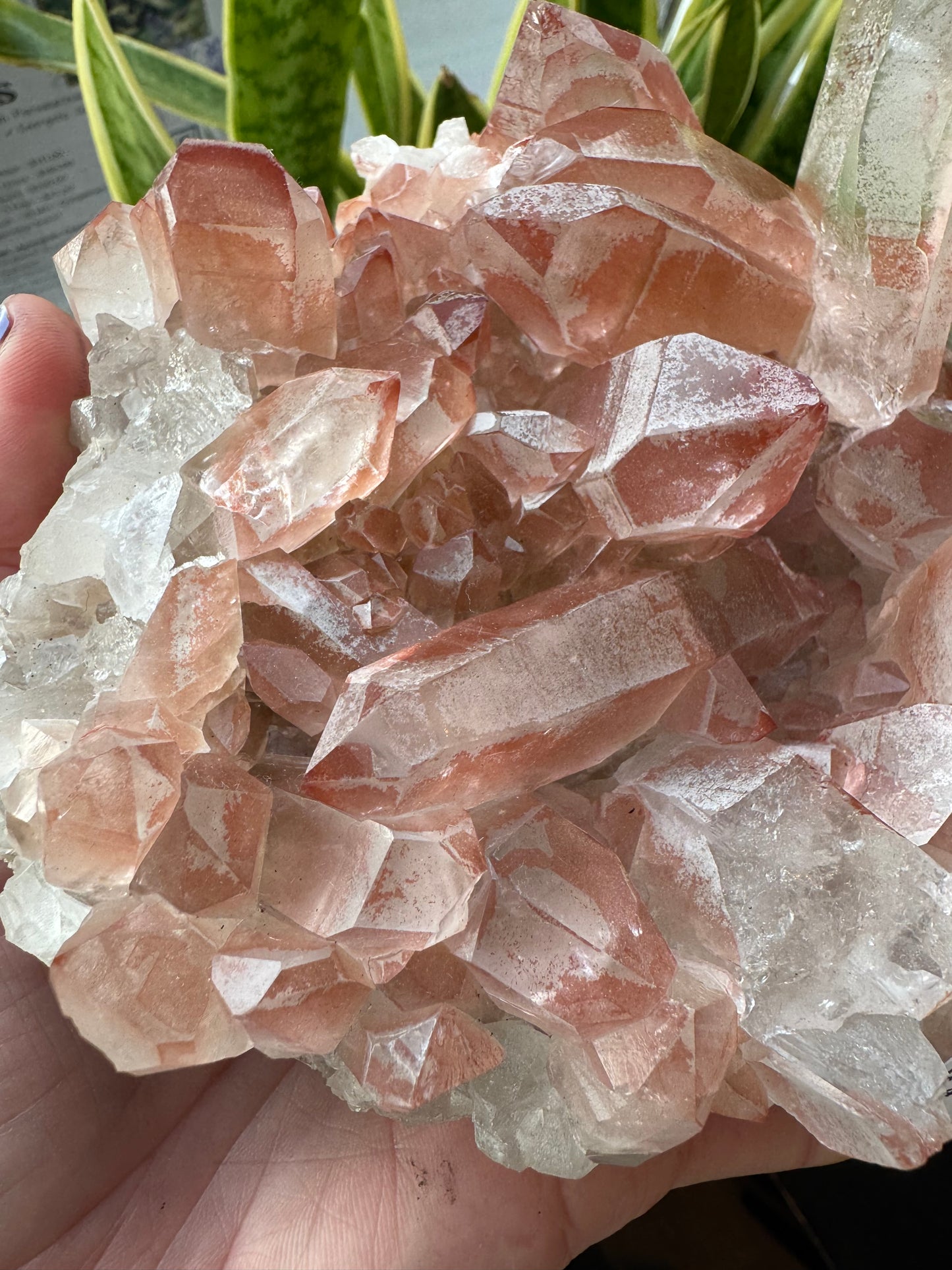 Hematite in Quartz Cluster 4.46lbs