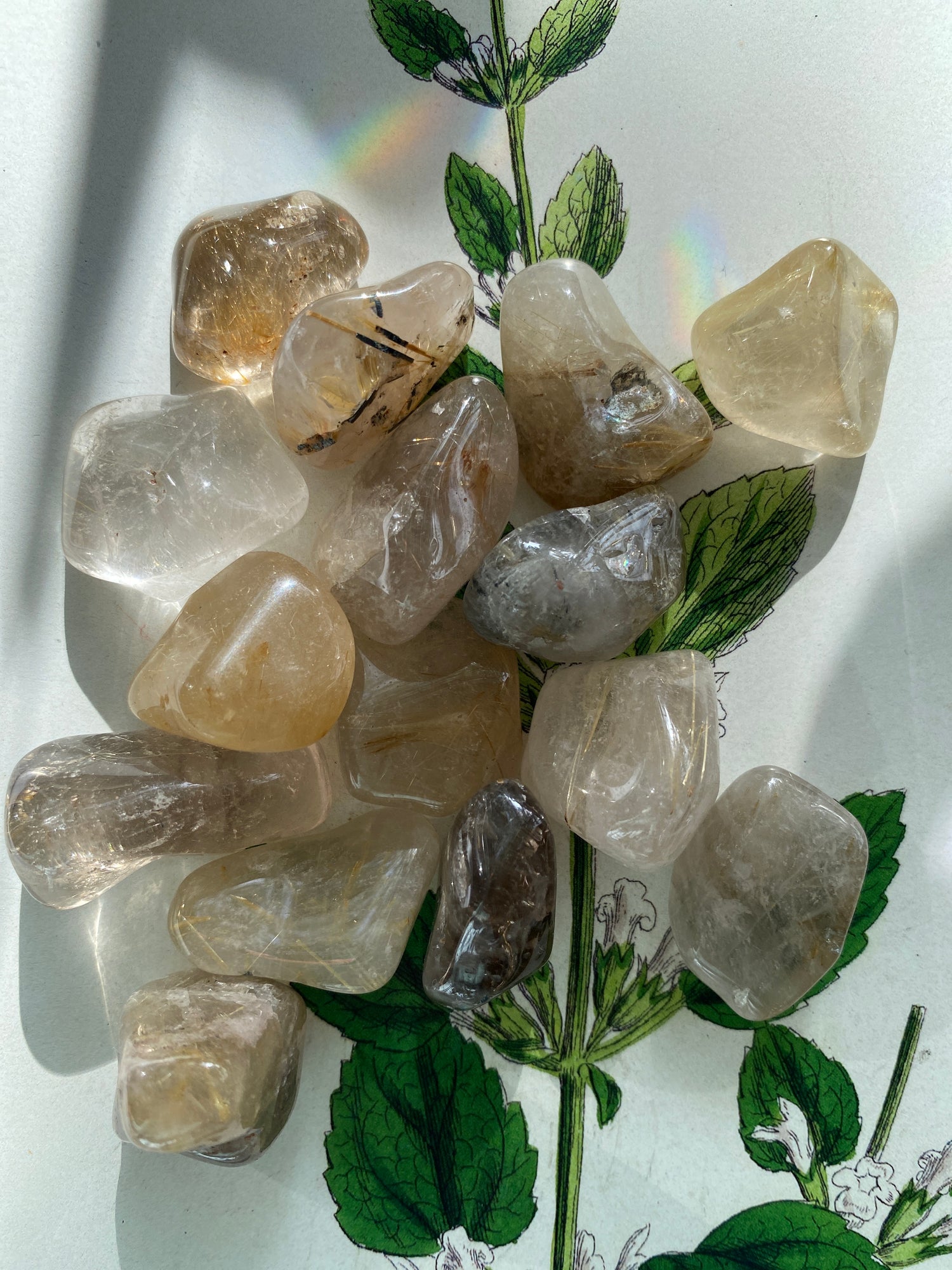 Rutilated Quartz Tumbled - Moon Room Shop and Wellness