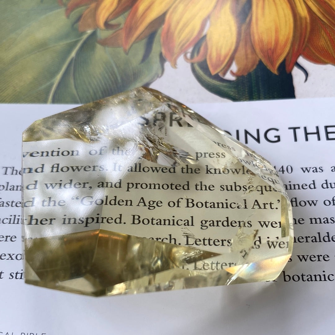 Citrine Freeform 71g