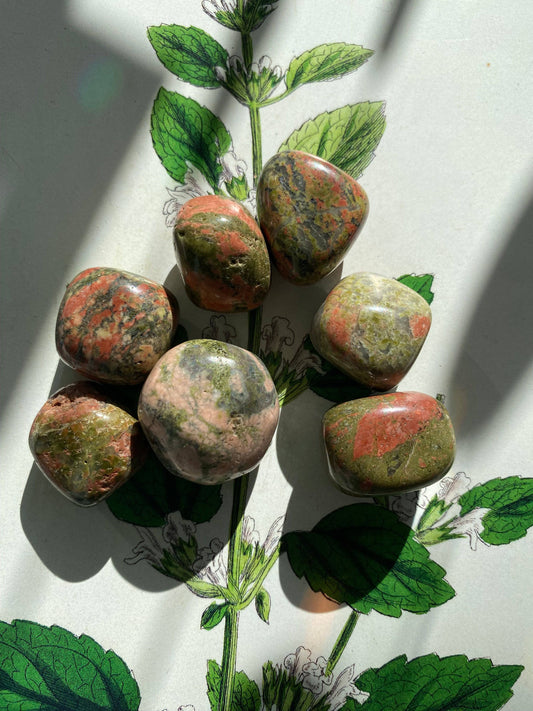 Unakite Tumbled - Moon Room Shop and Wellness