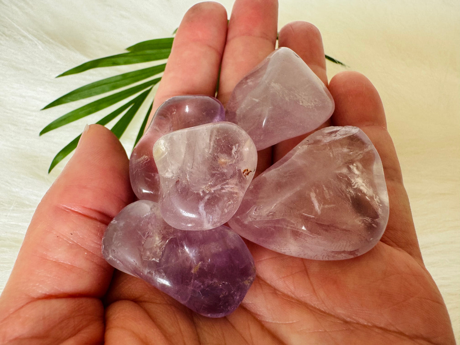 Amethyst Tumbled - Moon Room Shop and Wellness
