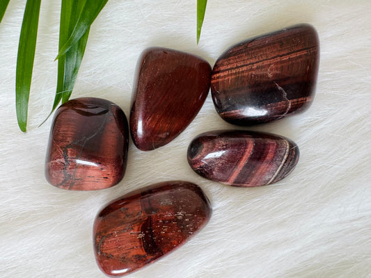 Red Tigers Eye Tumbled - Moon Room Shop and Wellness