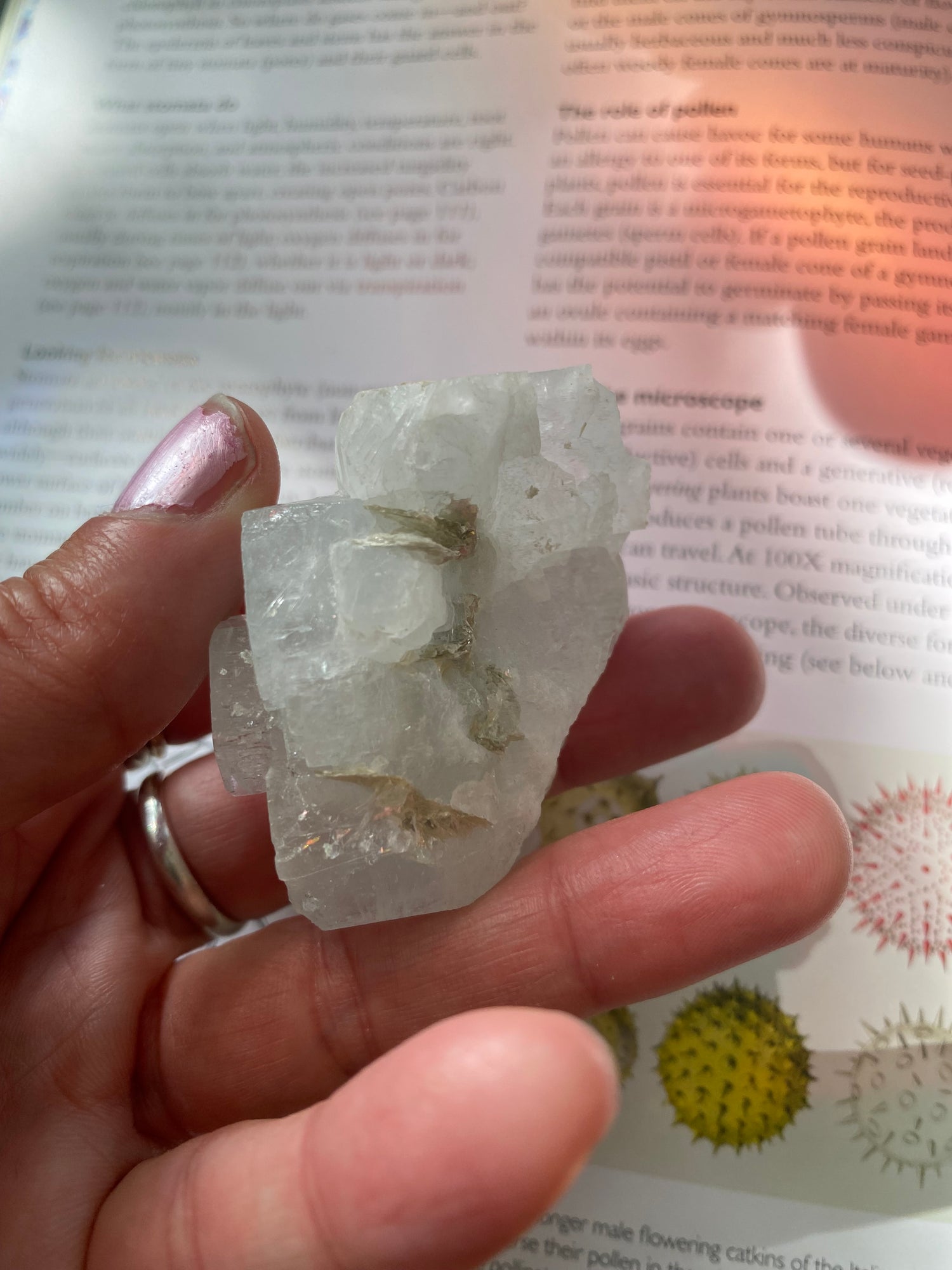 Raw Aquamarine 288 ct. Pakistan - Moon Room Shop and Wellness