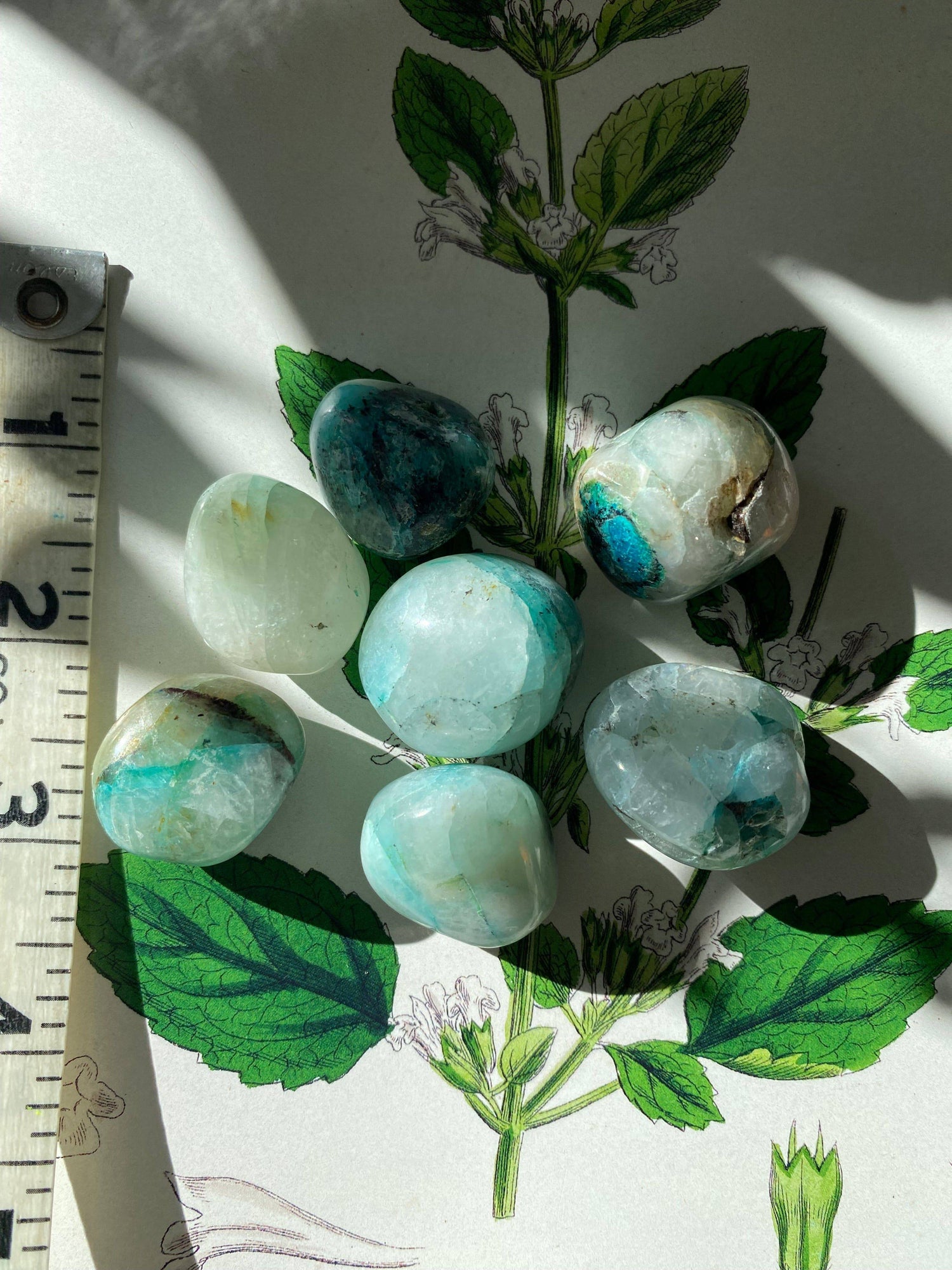 Chrysocolla and Quartz Tumbled- Peru - Moon Room Shop and Wellness