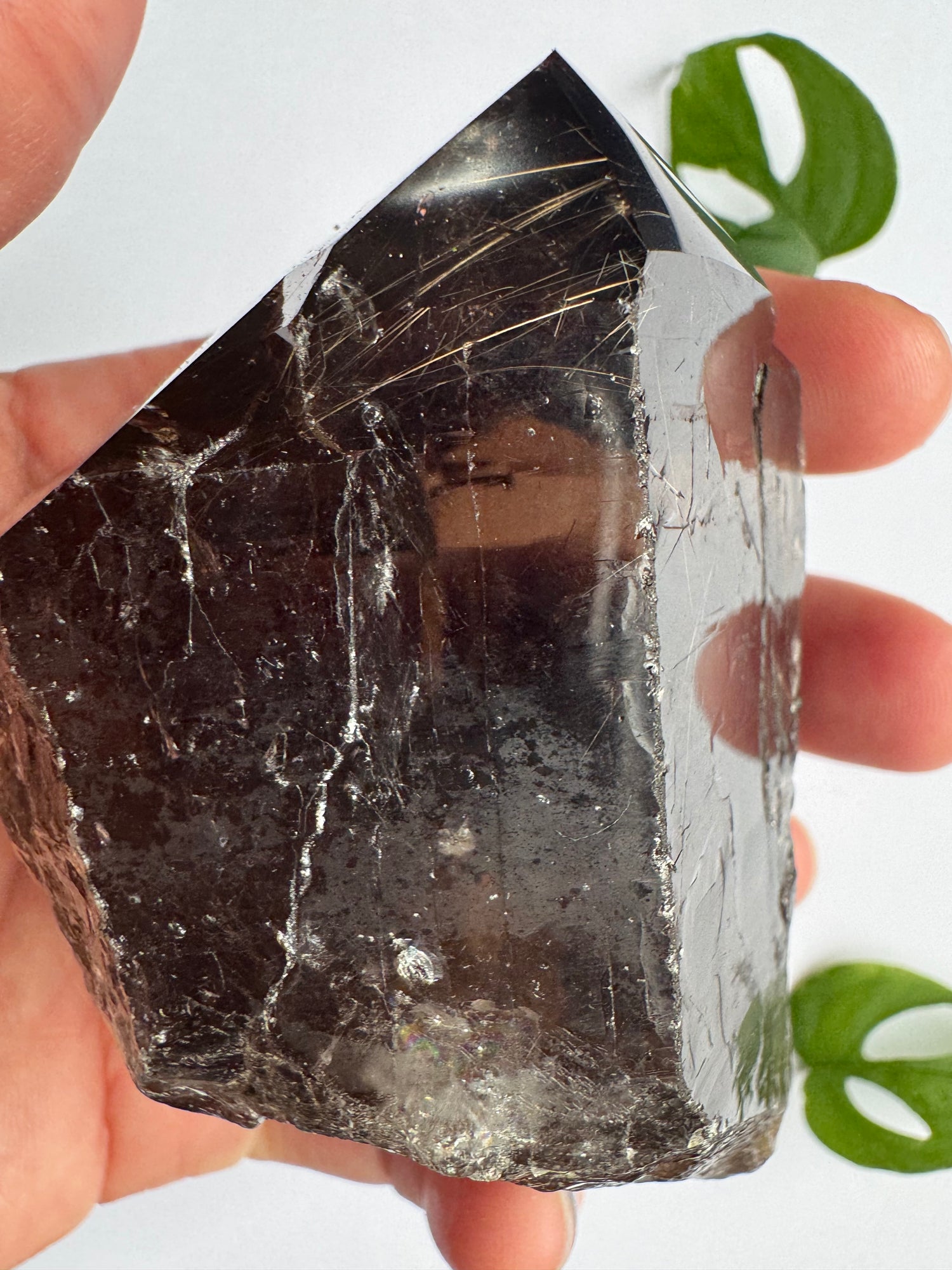 Smoky Quartz Rutilated Beauty 342 g. Brazil - Moon Room Shop and Wellness