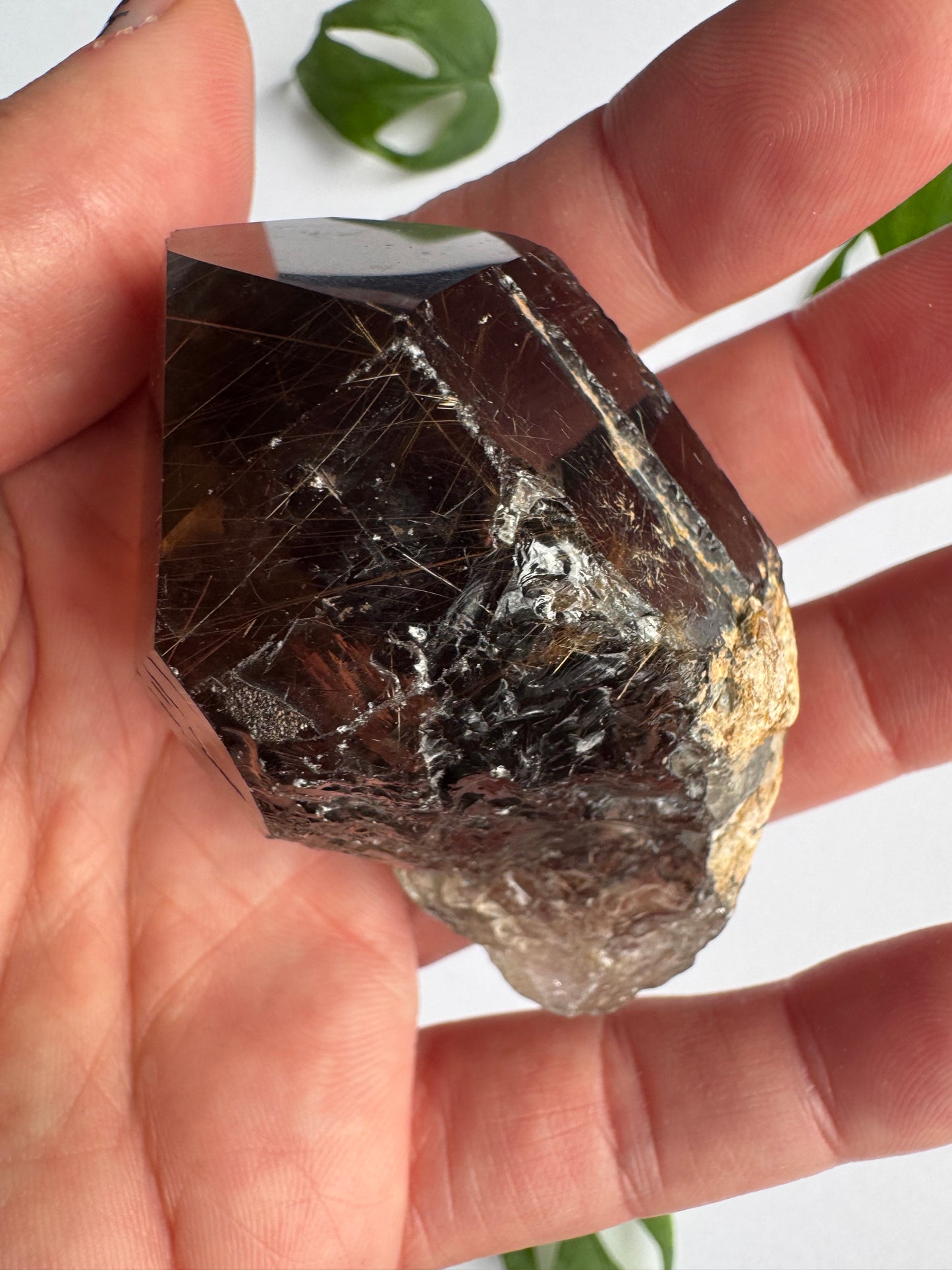 Smoky Quartz Rutilated Beauty 84 g. Brazil - Moon Room Shop and Wellness