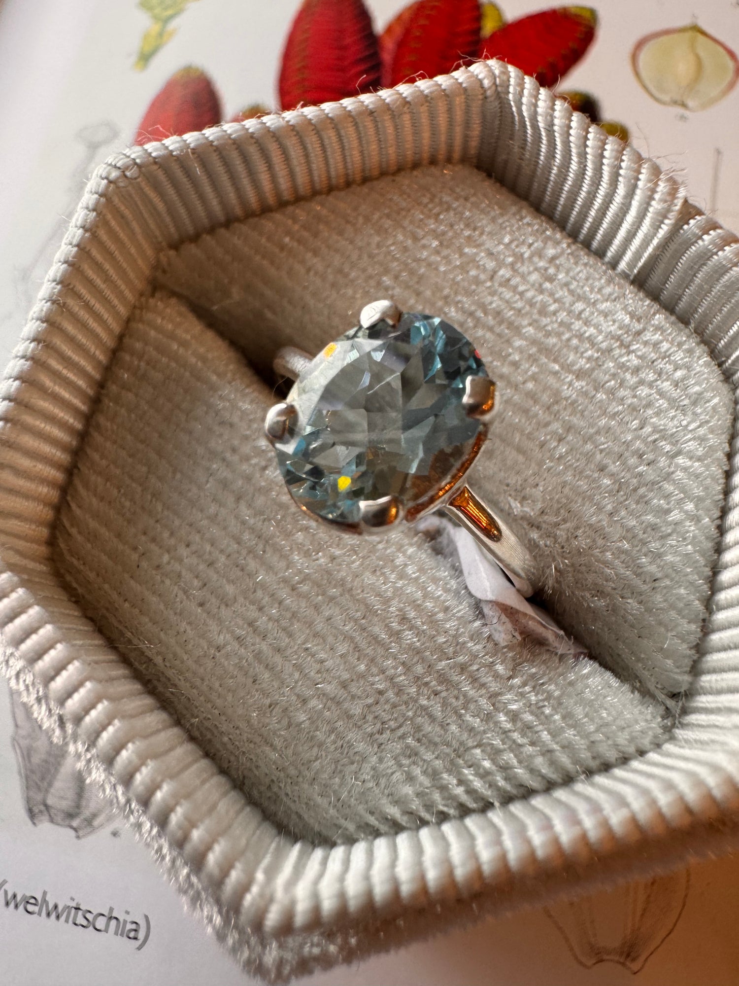 Blue Topaz Sterling Silver Ring Size 6 - Moon Room Shop and Wellness