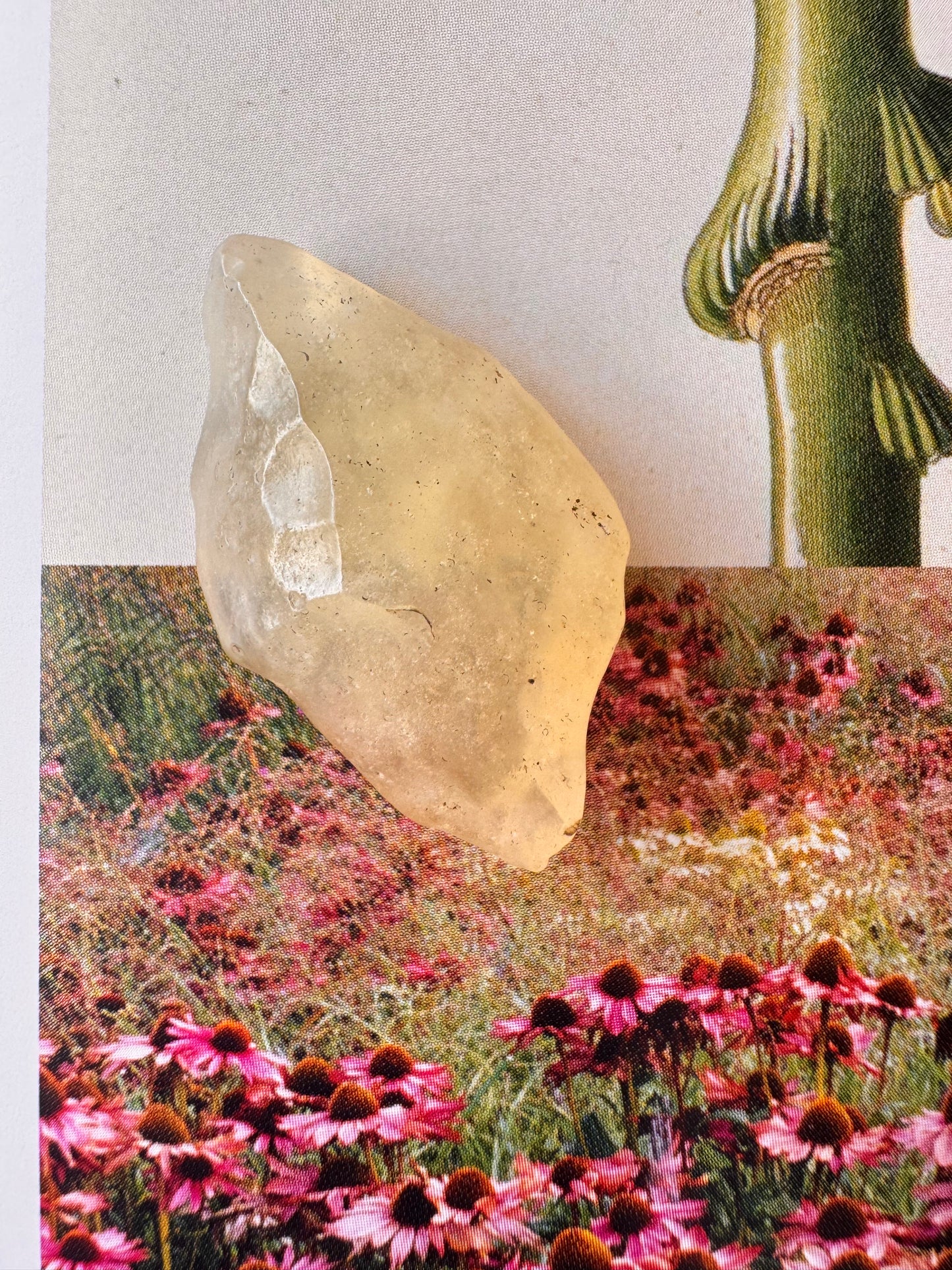 Libyan Desert Glass Tektite 5.2 gram - Moon Room Shop and Wellness