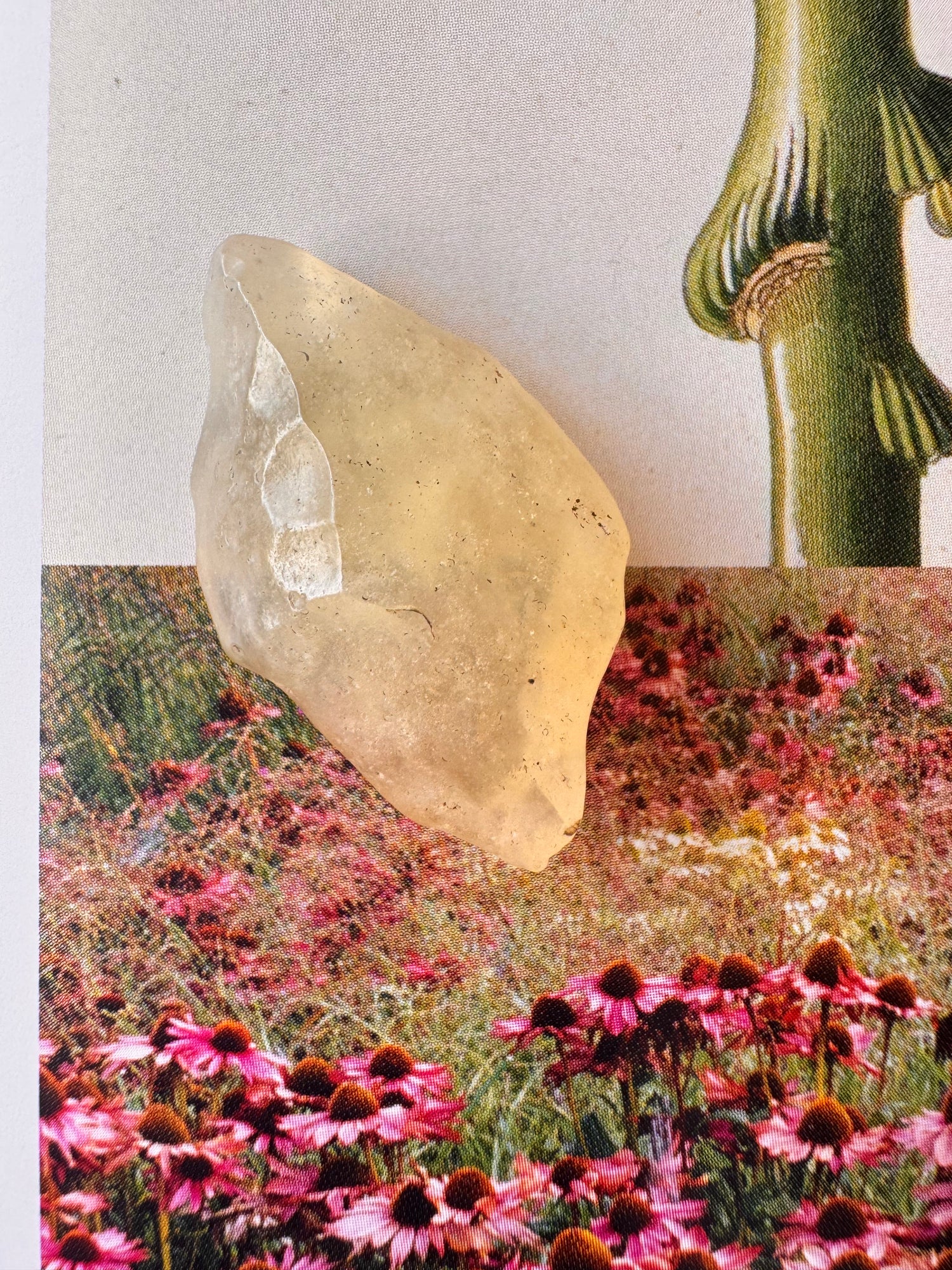 Libyan Desert Glass Tektite 5.2 gram - Moon Room Shop and Wellness