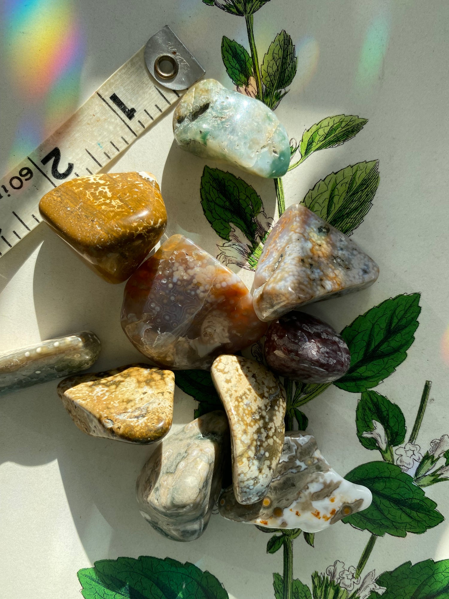 Ocean Jasper Tumbled - Ethically Sourced - Moon Room Shop and Wellness