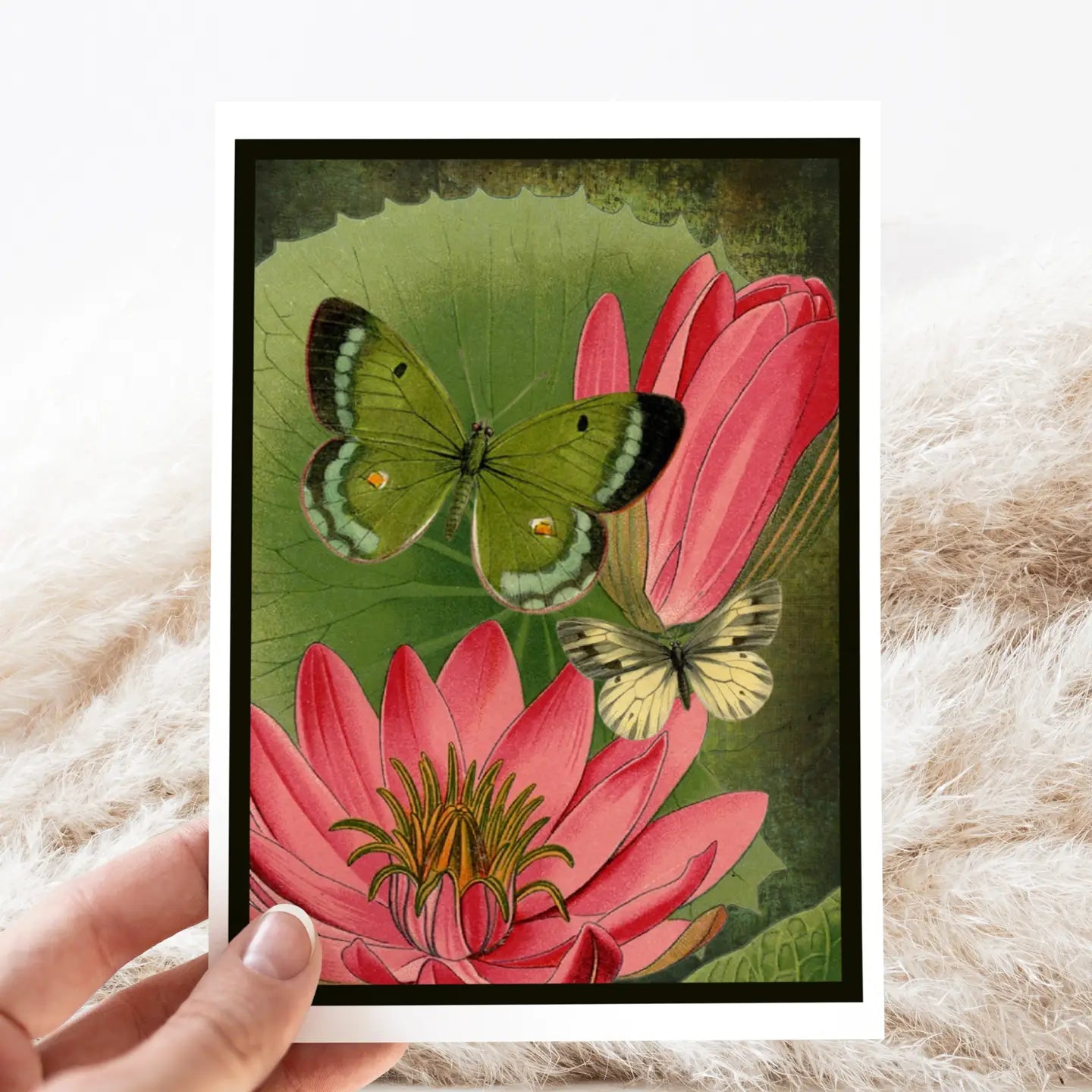 Pink Water Lilies and Moths Card- Blank Inside - Moon Room Shop and Wellness