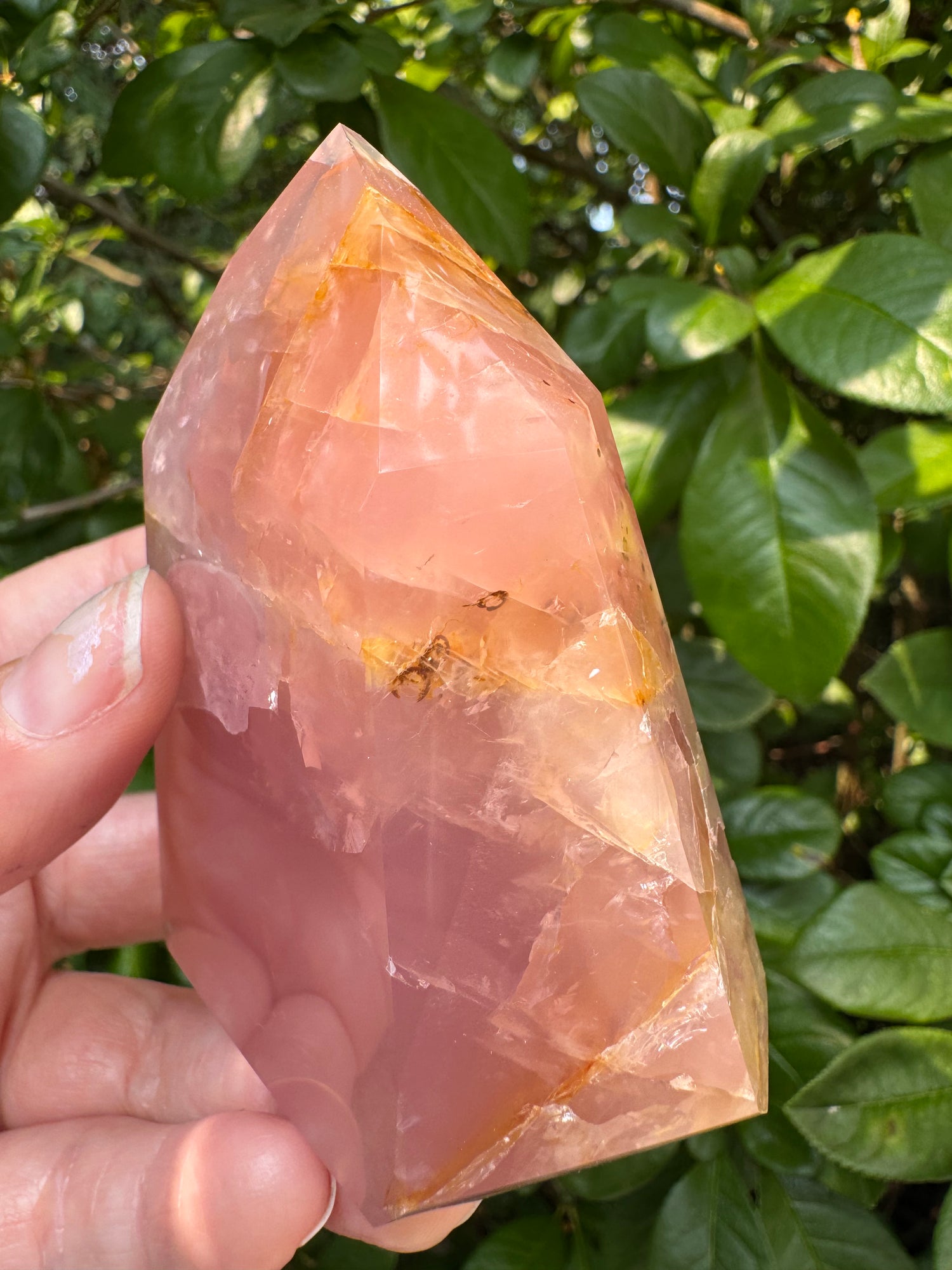 Guava Rose Quartz Tower w Golden Healer - Gorgeous! 242 g - Brazil - Moon Room Shop and Wellness