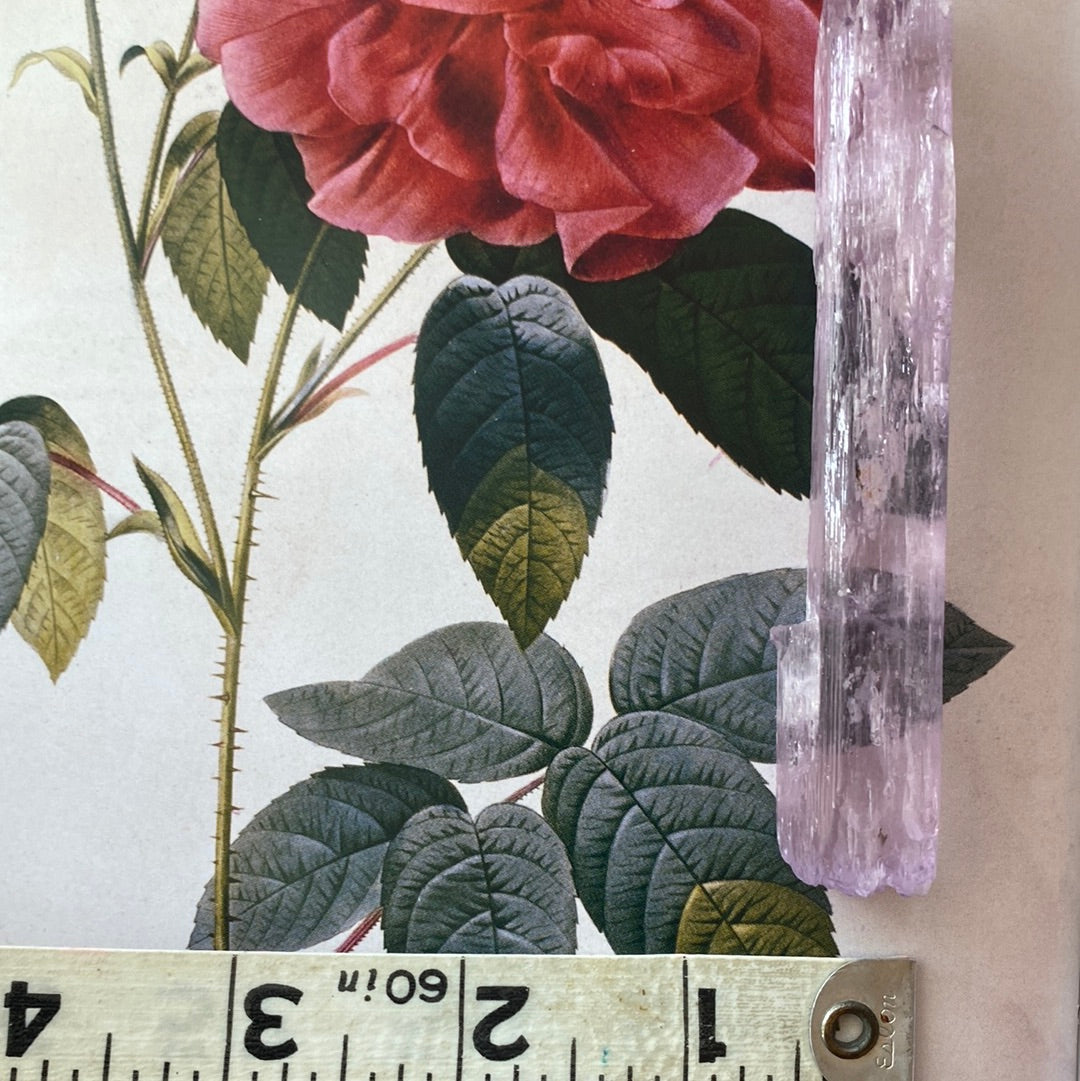 Kunzite -Pakistan- 240 ct - Moon Room Shop and Wellness