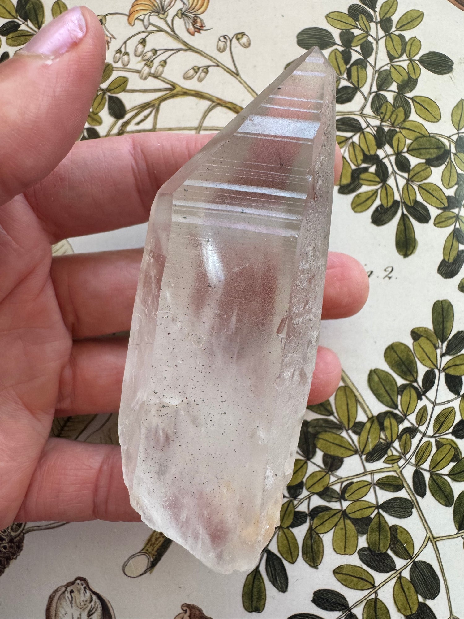 Lemurian Quartz Point 123 g Brazil - Moon Room Shop and Wellness
