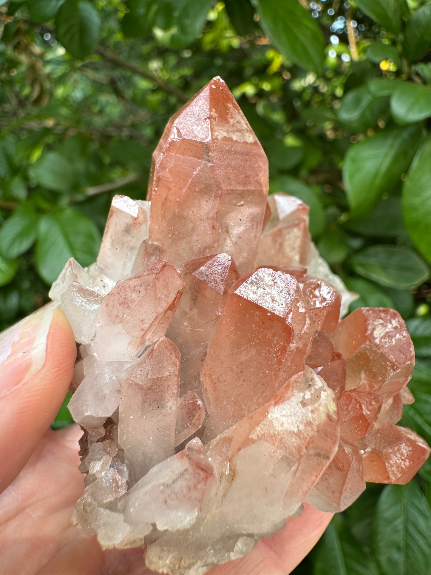 Pink Lithium Quartz Cluster 140 g - Brazil- Peaceful Beauty! - Moon Room Shop and Wellness
