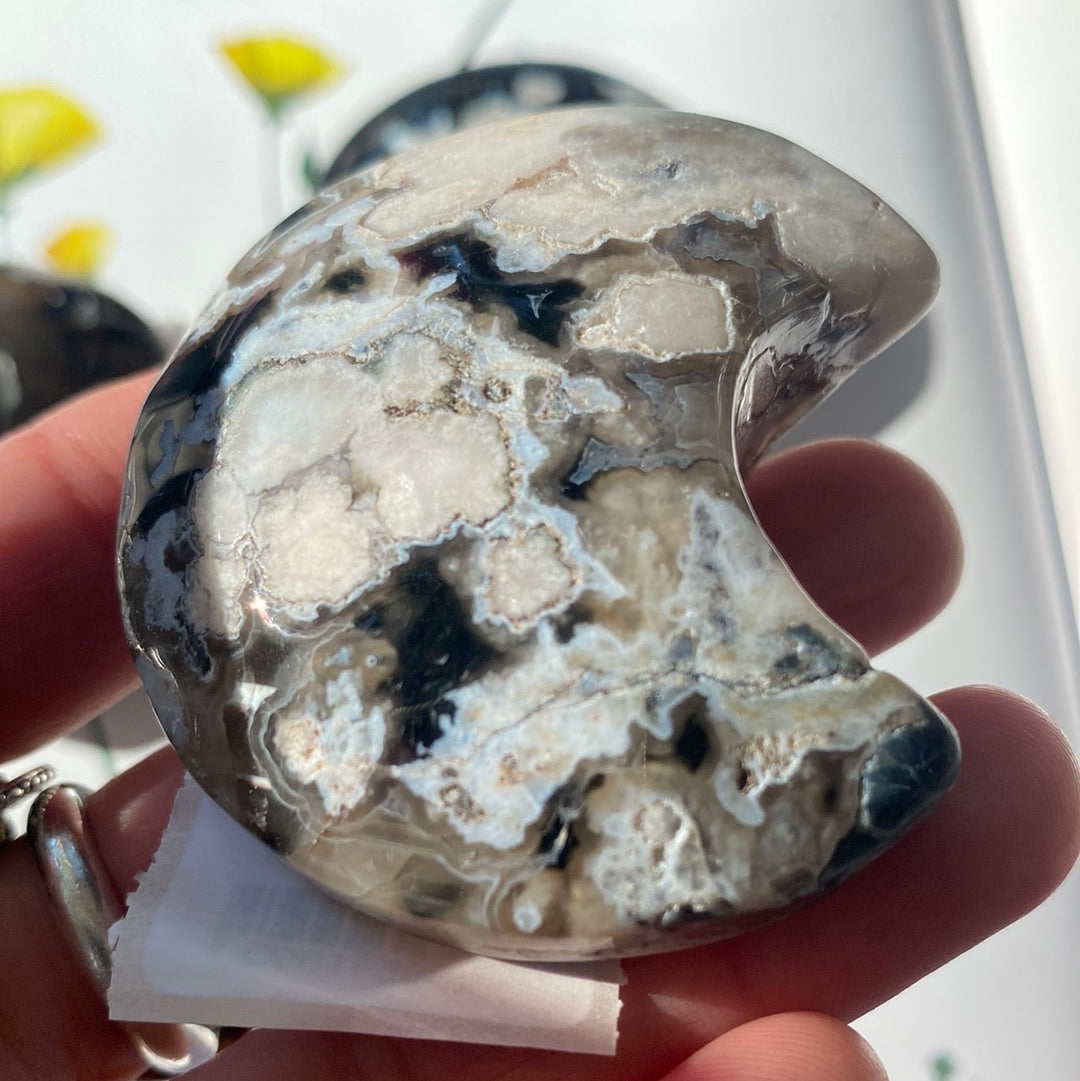 Black Flower Agate Crescent Moon - Moon Room Shop and Wellness