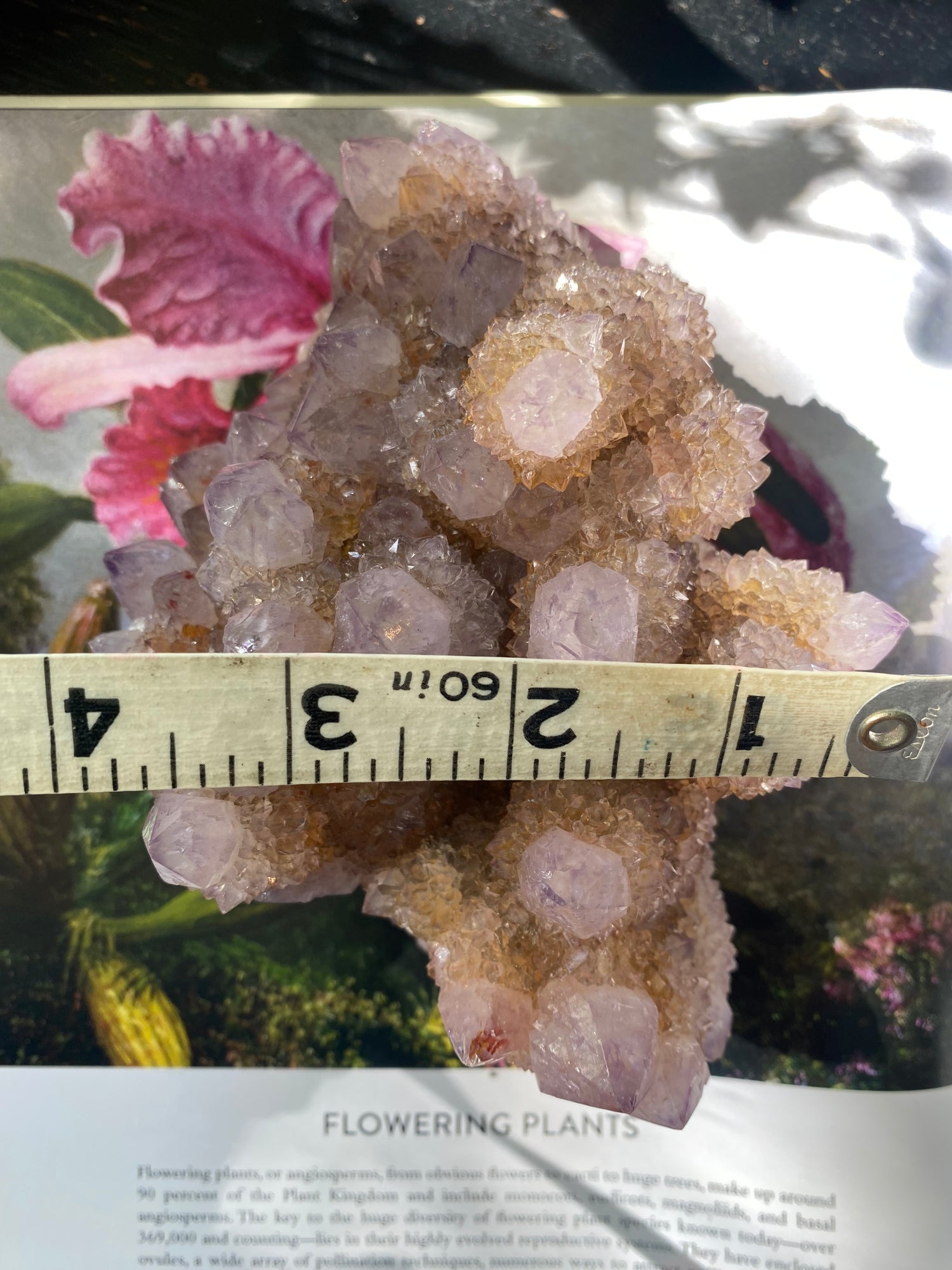 Spirit Quartz Specimen/Cluster 2.68 lb -South Africa - Moon Room Shop and Wellness