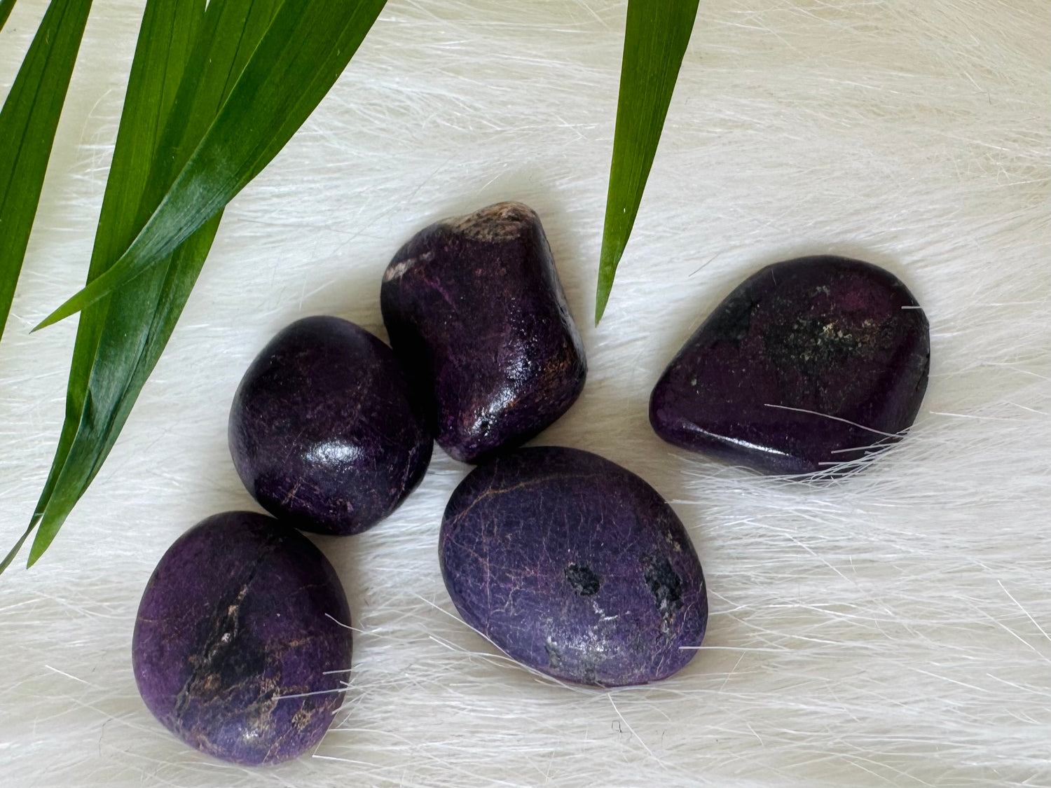 Purpurite Tumbled - Moon Room Shop and Wellness