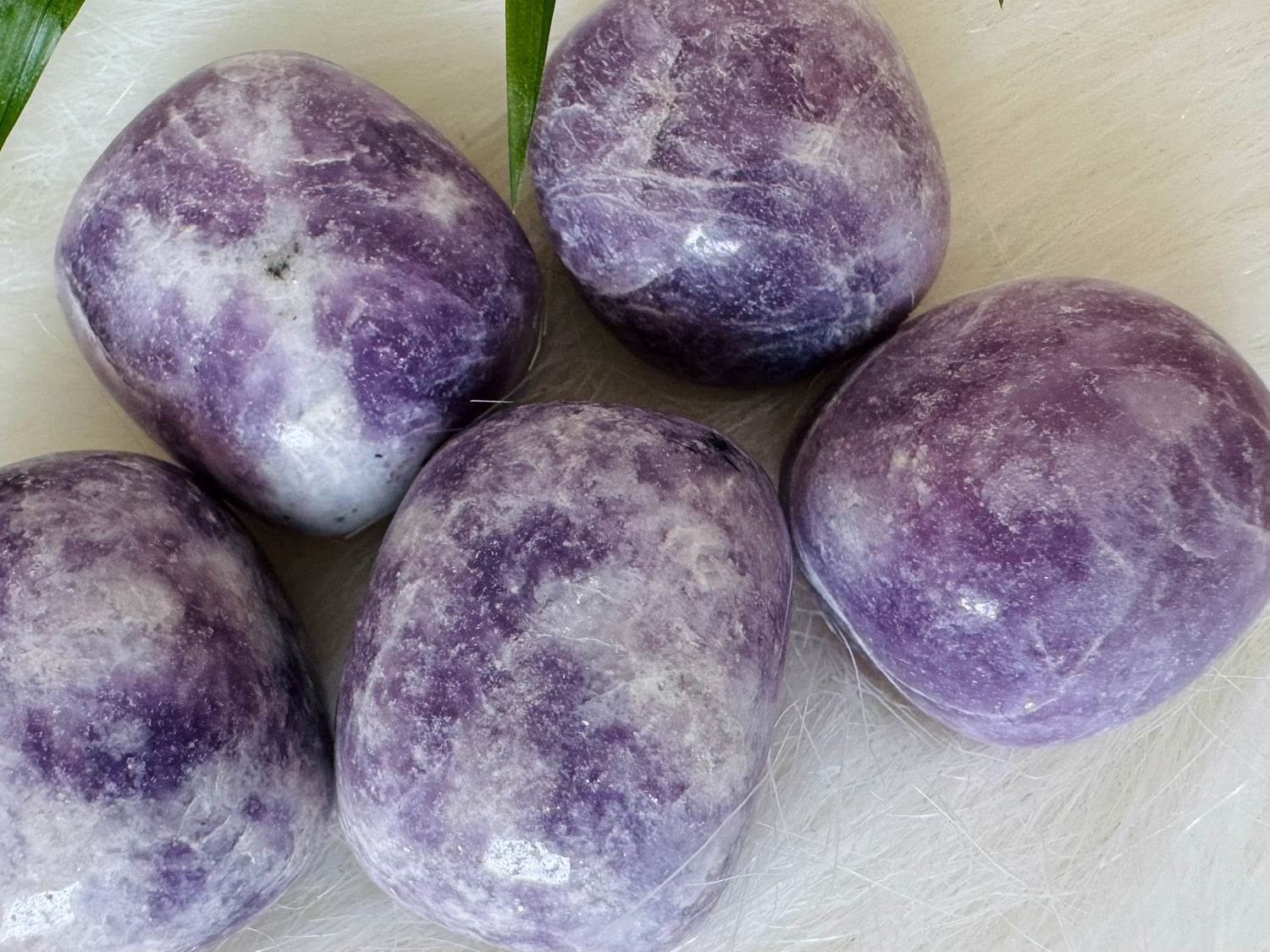 Lepidolite Tumbled Large - Moon Room Shop and Wellness
