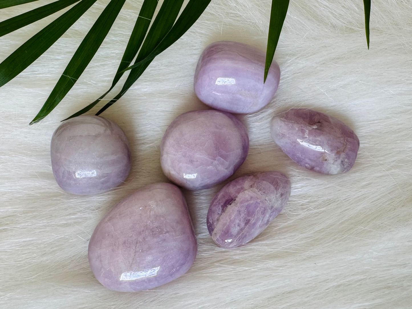 Kunzite Tumbled - Moon Room Shop and Wellness