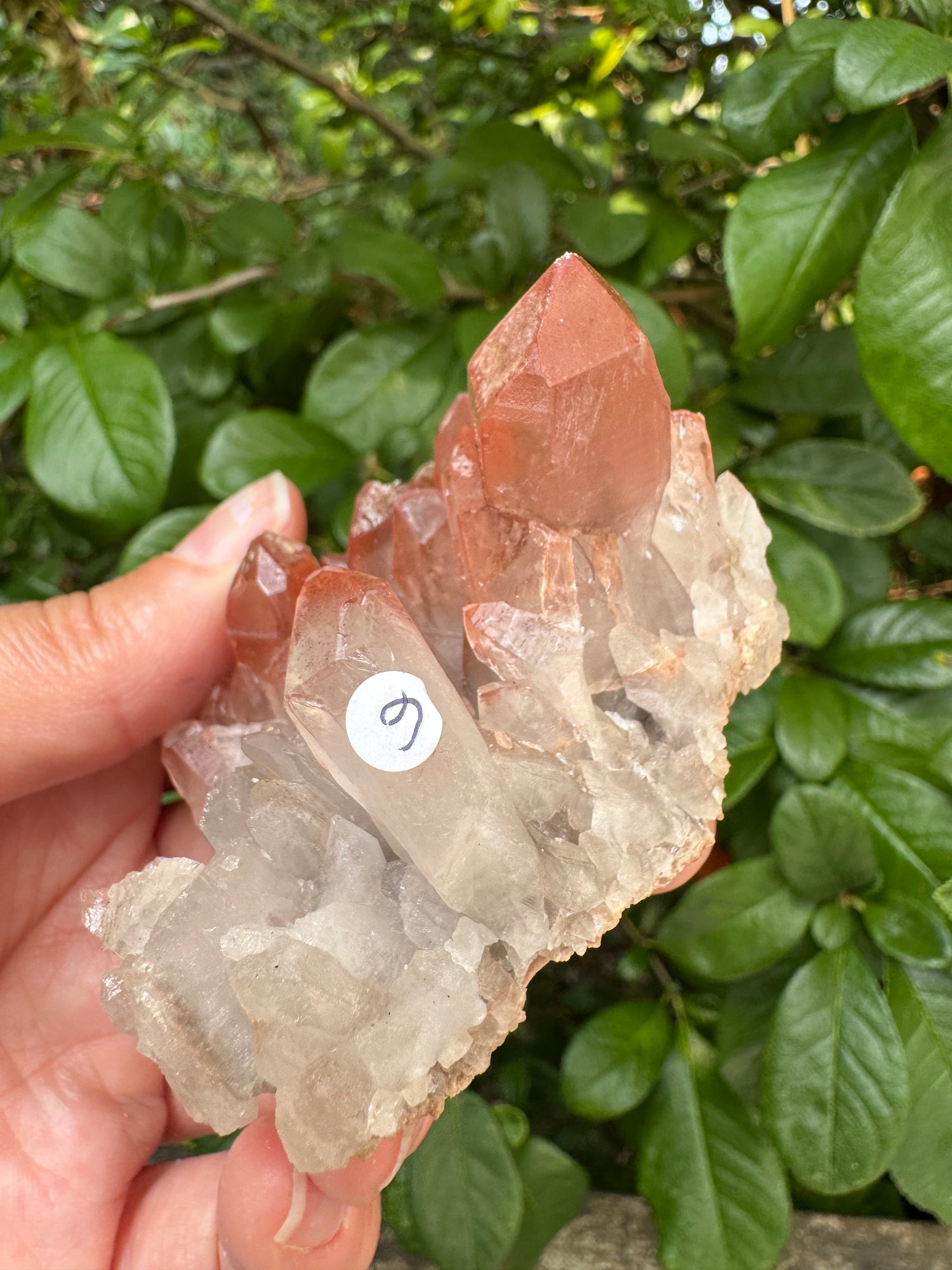 Pink Lithium Quartz Cluster 140 g - Brazil- Peaceful Beauty! - Moon Room Shop and Wellness