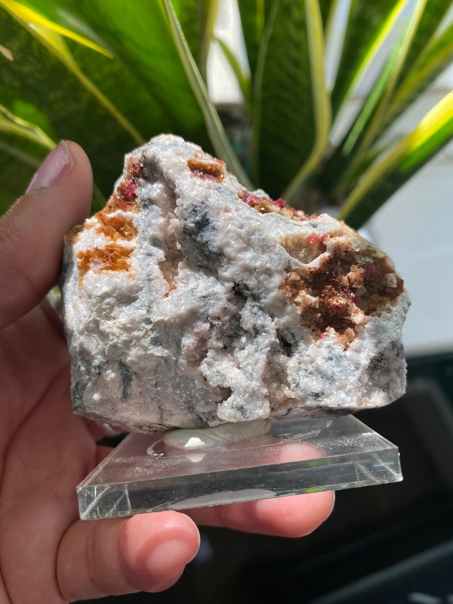 Roselite and Heterogenite on Dolomite 233 g  Aghbar Mine Morocco - Moon Room Shop and Wellness