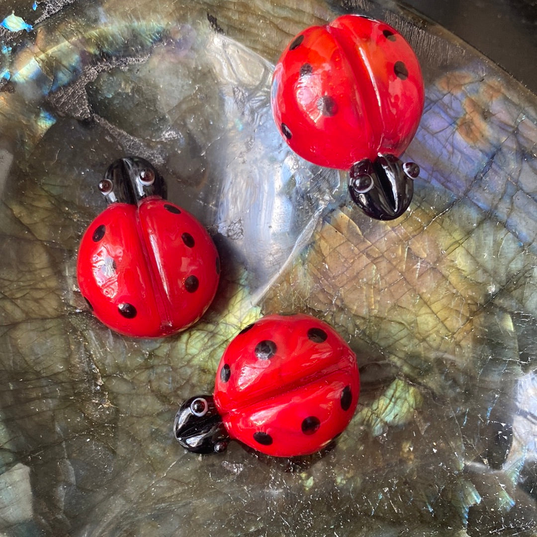 Glass Ladybug Charm - Moon Room Shop and Wellness
