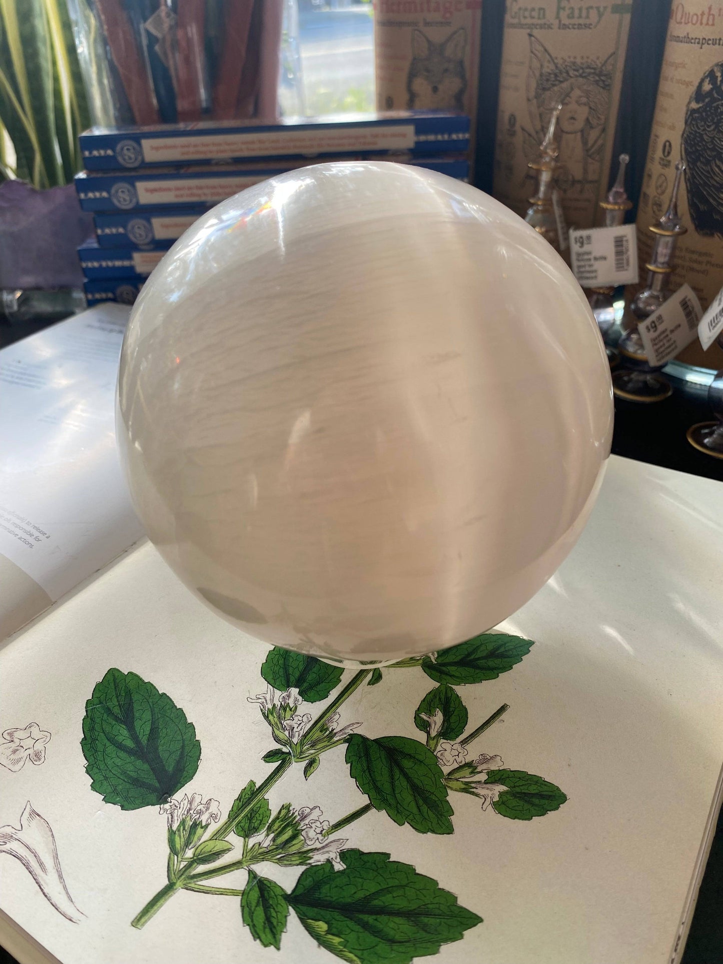 Large Selenite Sphere 5.17 lbs - Moon Room Shop and Wellness